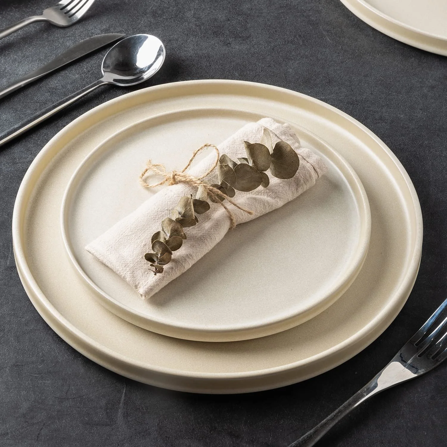 Set of 4, AmorArc Stoneware Dinner Plates Set of 4,