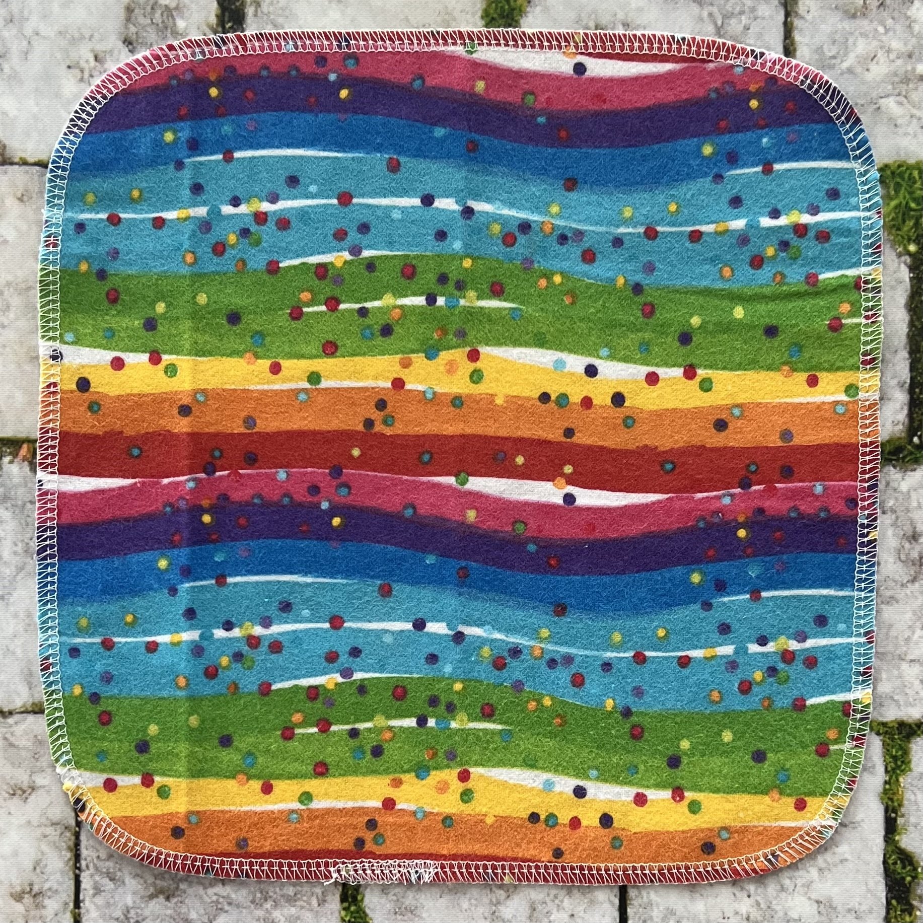 rainbow connection 6.jpg