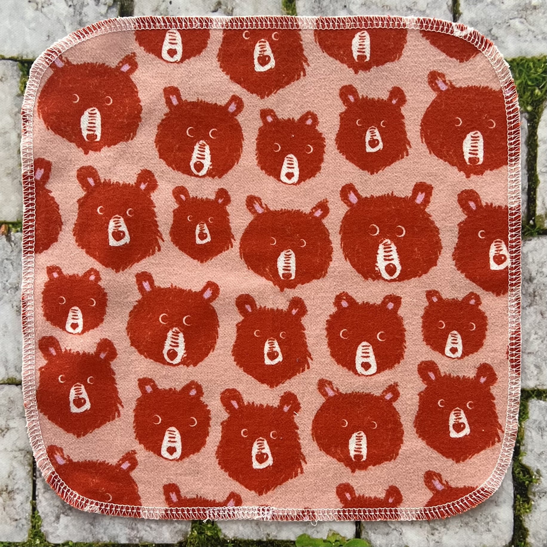 there's a bear 6.jpg