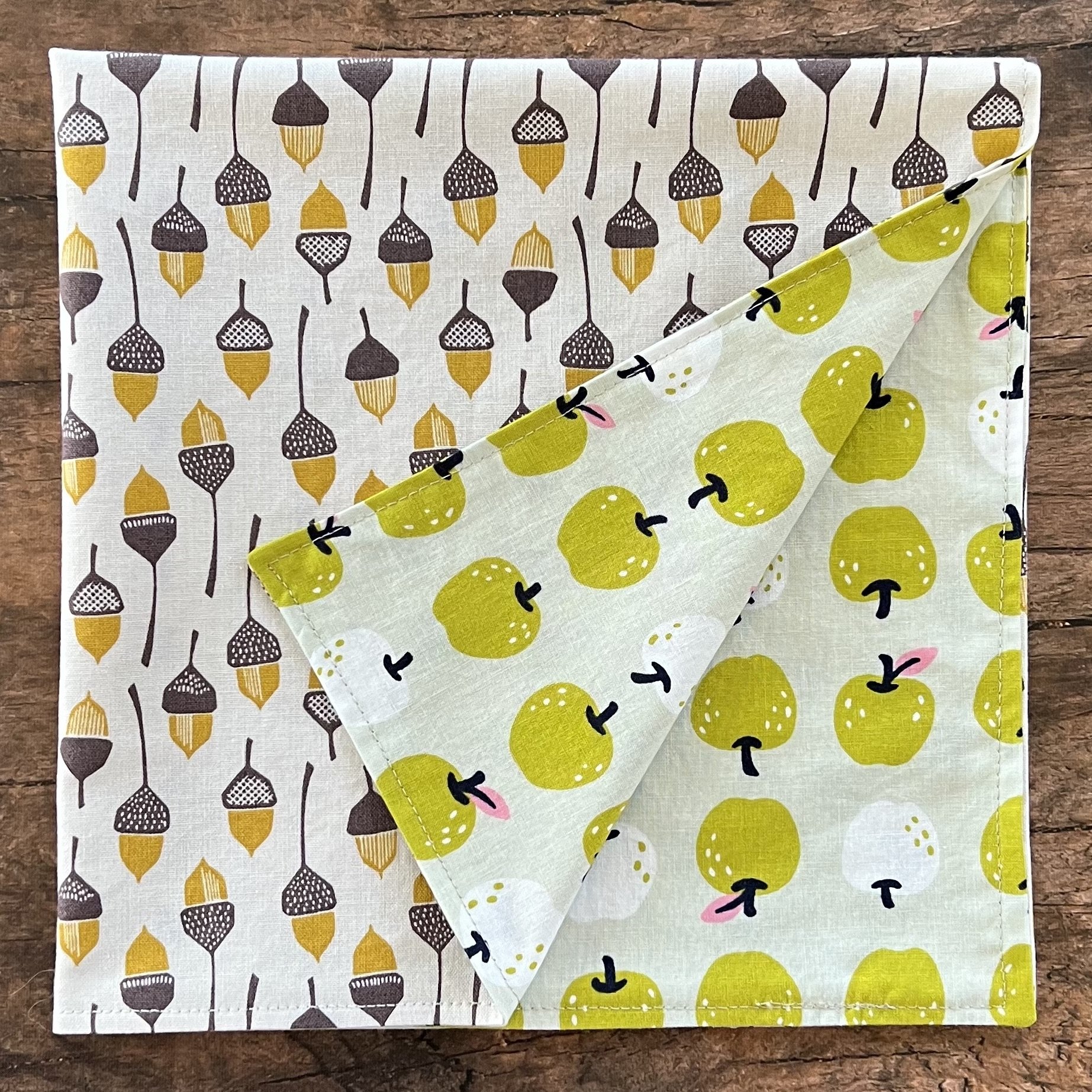 apples + acorns 4.jpg