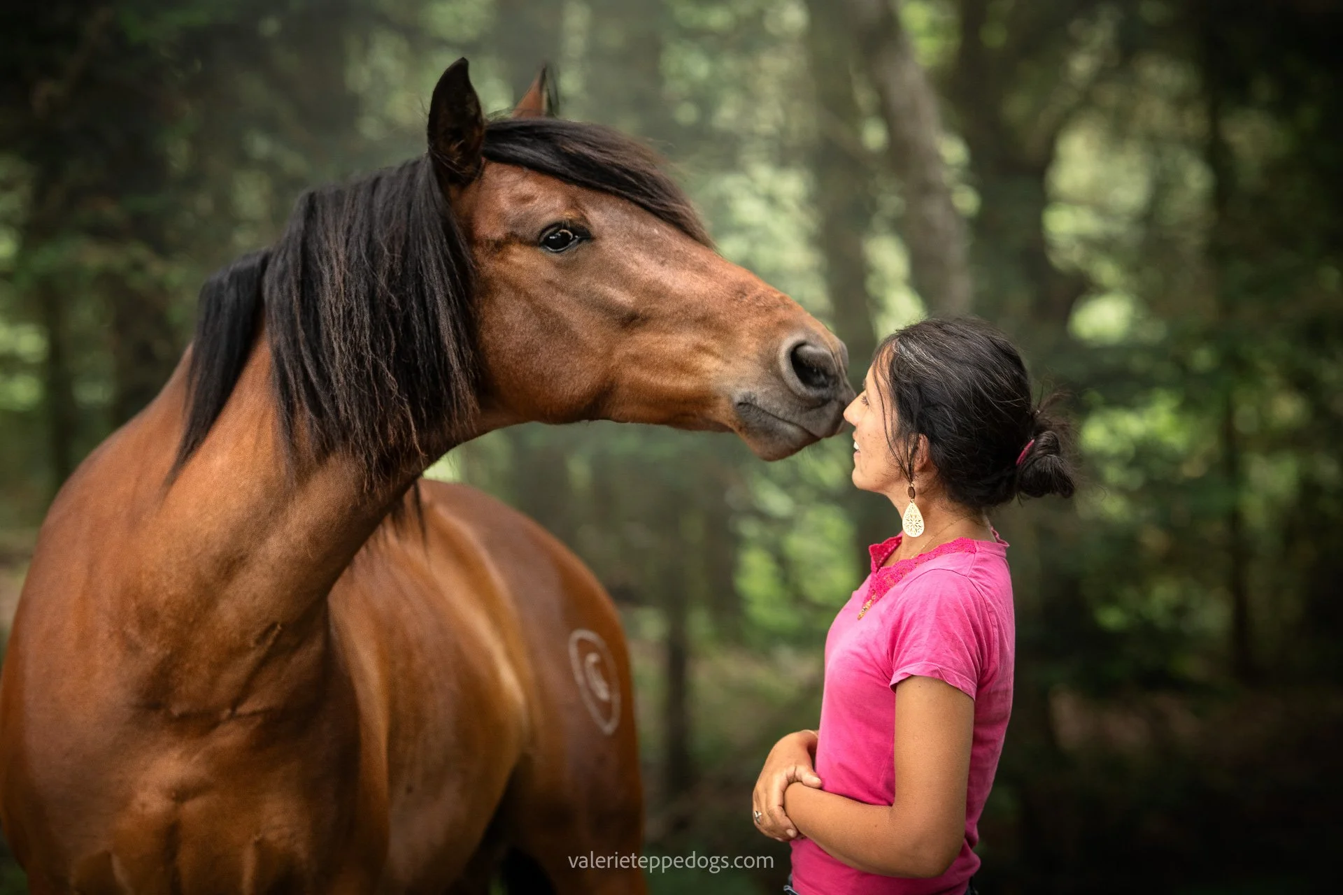 Parfois je reviens &agrave; mes premi&egrave;res amours : les chevaux. 
J'ai donc rencontr&eacute; la licorne de C&eacute;cilia, celui (parce que c'est un gar&ccedil;on licorne) qui sait qu'il est beau, un cheval plein de malice.
J'avoue que les chie
