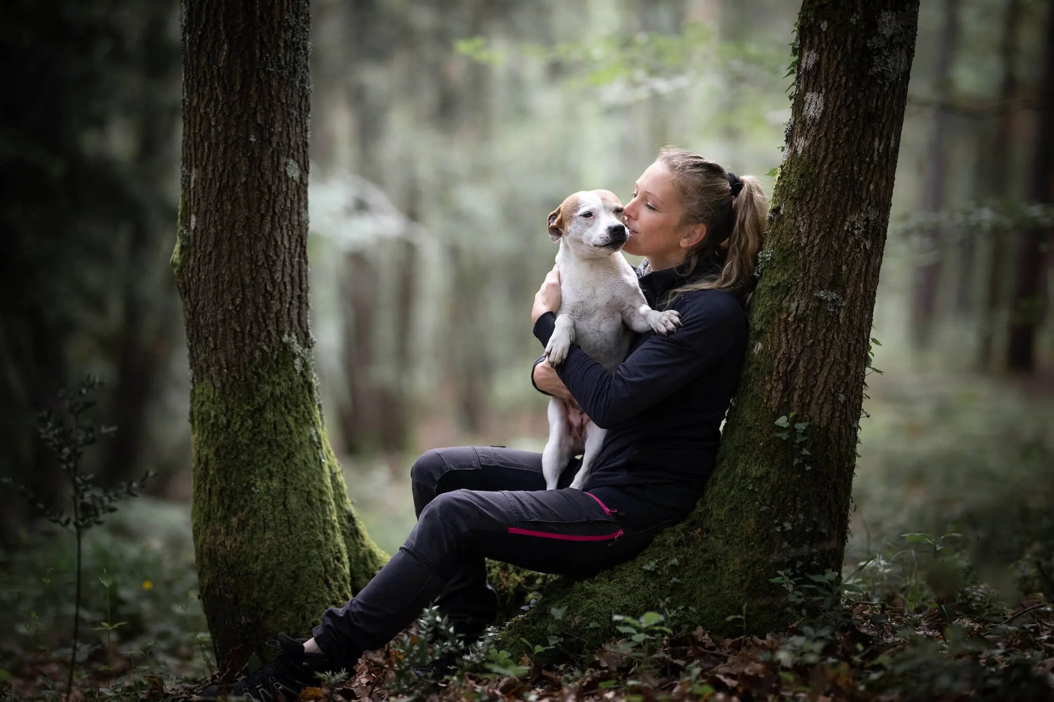 portrait-chien-foret.jpg