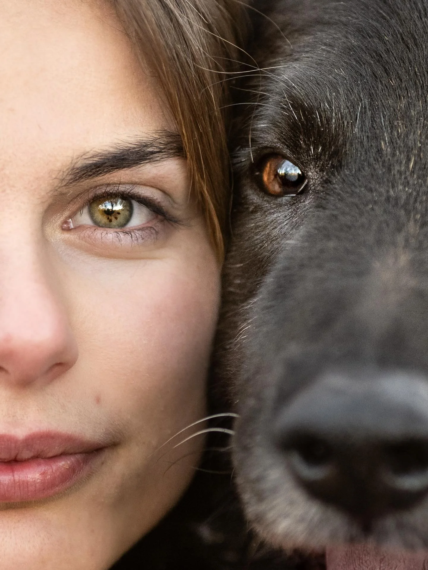 🌿 Maelys et Gipsy 🌿

Avancer dans le vie c&ocirc;te &agrave; c&ocirc;te, contre vents et mar&eacute;es.

#chienheureux #chienheureuxmaitreheureux #brive #photographecorreze #photographecanin #tervueren #bergerbelgetervuren 

Je suis Val&eacute;rie 