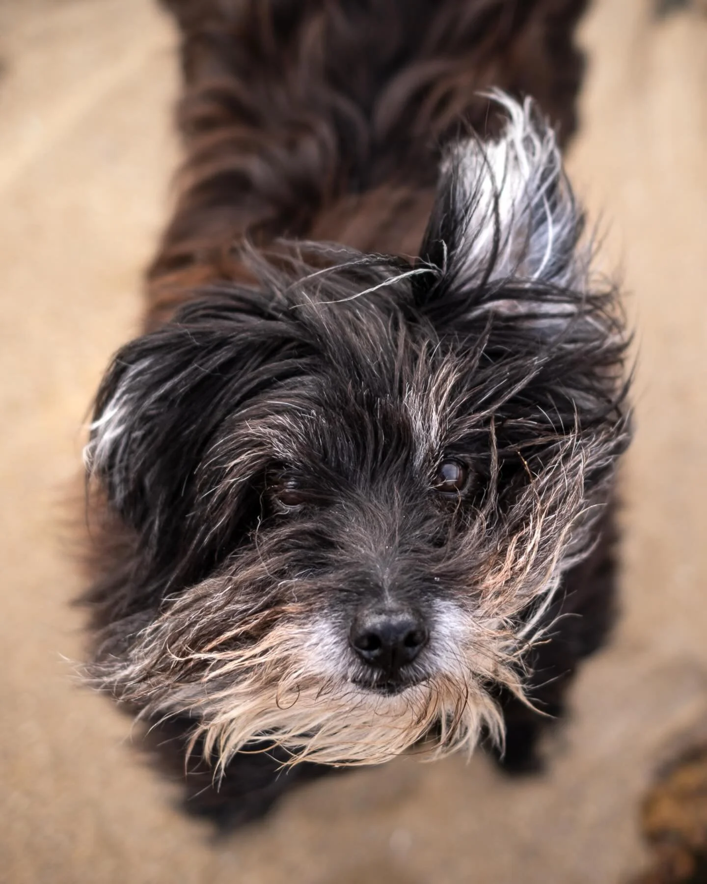 BRETAGNE
Je prends enfin le temps de replonger dans mes archives et d&eacute;couvre des photos que je n&rsquo;avais m&ecirc;me pas regard&eacute;es. C&rsquo;est la mal&eacute;diction des photographes pro, toujours faire passer les autres avant soi, e