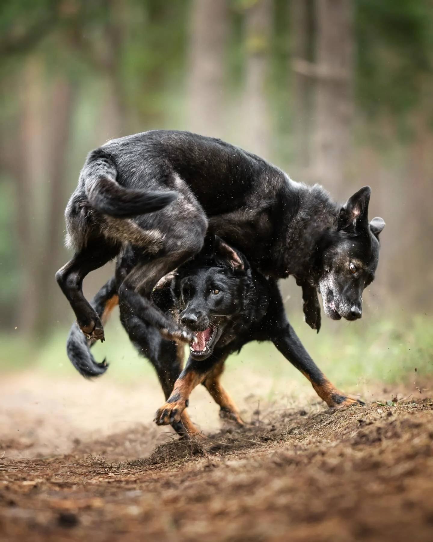 ENJOY et TEE-DJEE

Parfois &ccedil;a part en vrille mais c&rsquo;est de la joie !
J&rsquo;aime bien publier ce genre de photos, qui peut &ecirc;tre ne plaisent qu&rsquo;&agrave; moi, je sais que ce n&rsquo;est pas dans l&rsquo;air du temps mais je ve