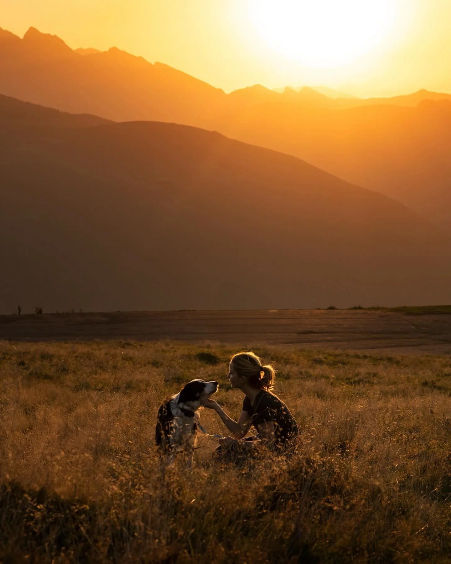 13 ans aujourd&rsquo;hui. 
On est dans le grand &acirc;ge avec tout ce que cela implique. 
Je savoure les moments de lumi&egrave;re et nous souhaite encore de belles aventures, le plus longtemps possible.
☀️ bon anniversaire Lala ☀️

#chienheureux #b
