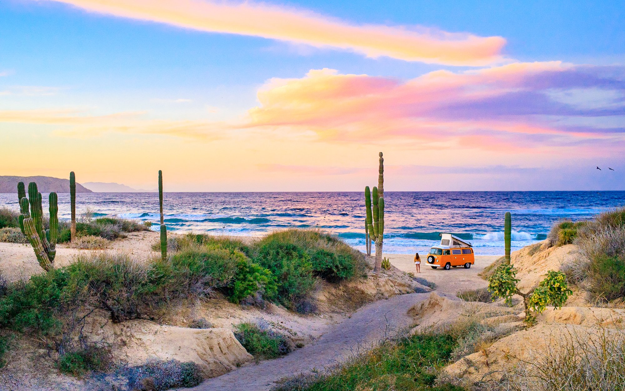 Ultra Wide Examples-Beach_Muertecitos_322.jpg