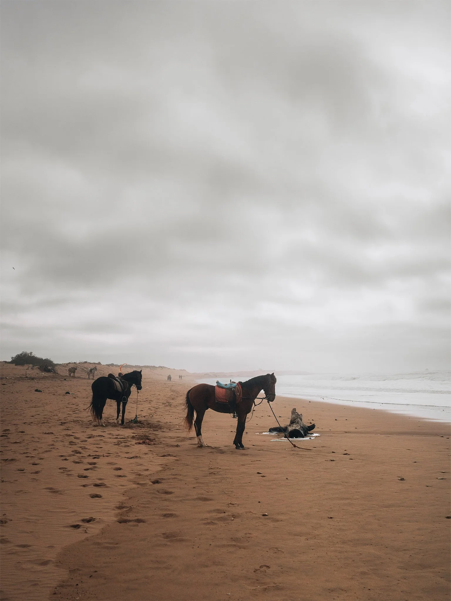 This approach to photography is just better.