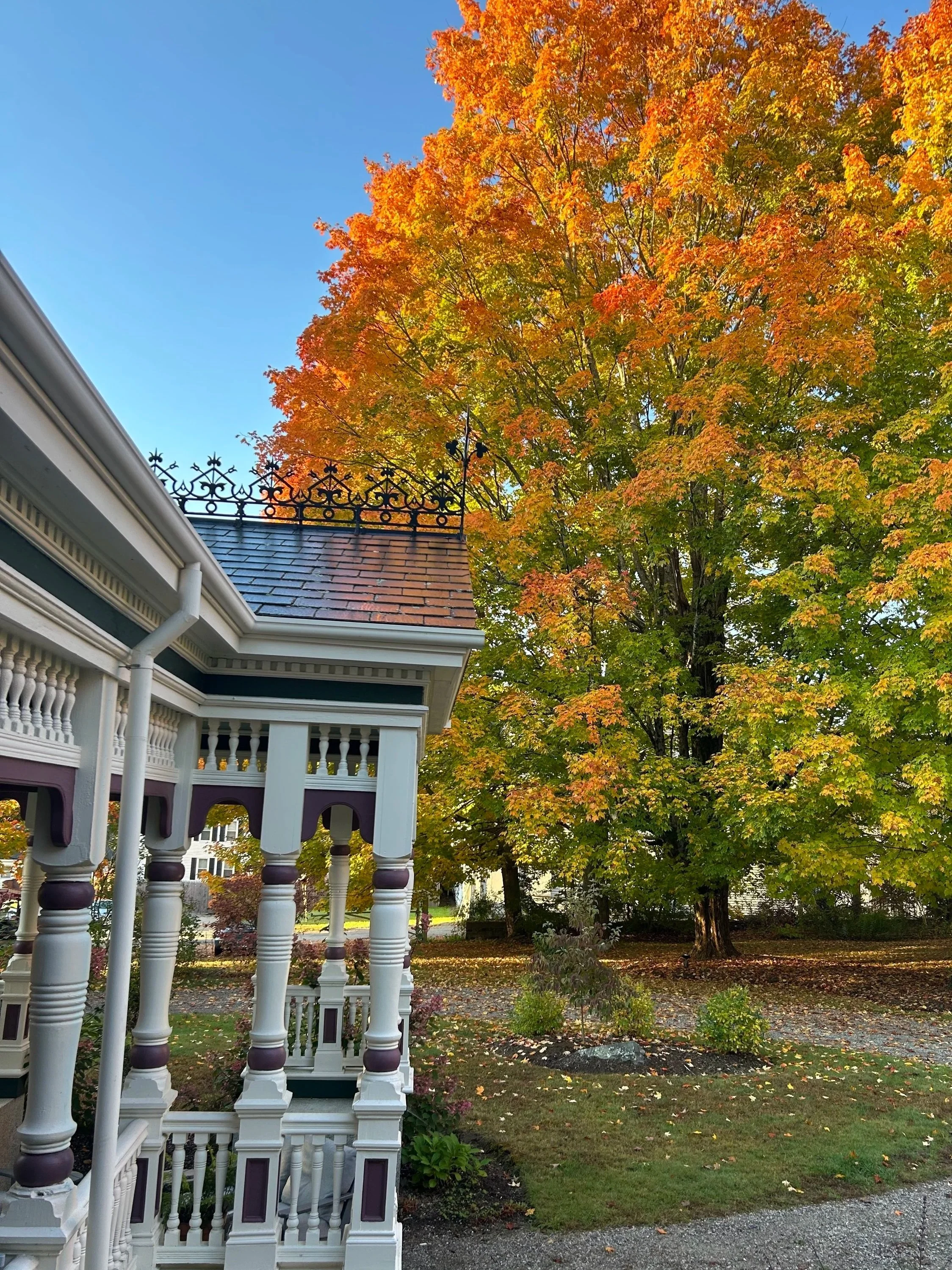 fall+leaves.jpg