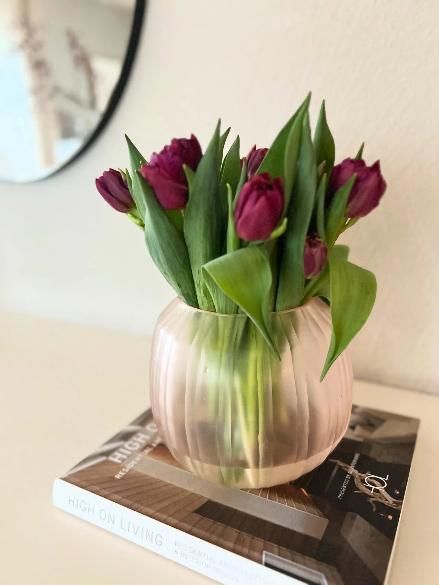 Bye Winter, ich bin ready f&uuml;r den Fr&uuml;hling 🌸✨ Wer z&auml;hlt auch die Tage?

#interiordesign #interiorinspo #springdecor #fr&uuml;hlingsgef&uuml;hle #cozyhome wohnliebe aestheticinterior