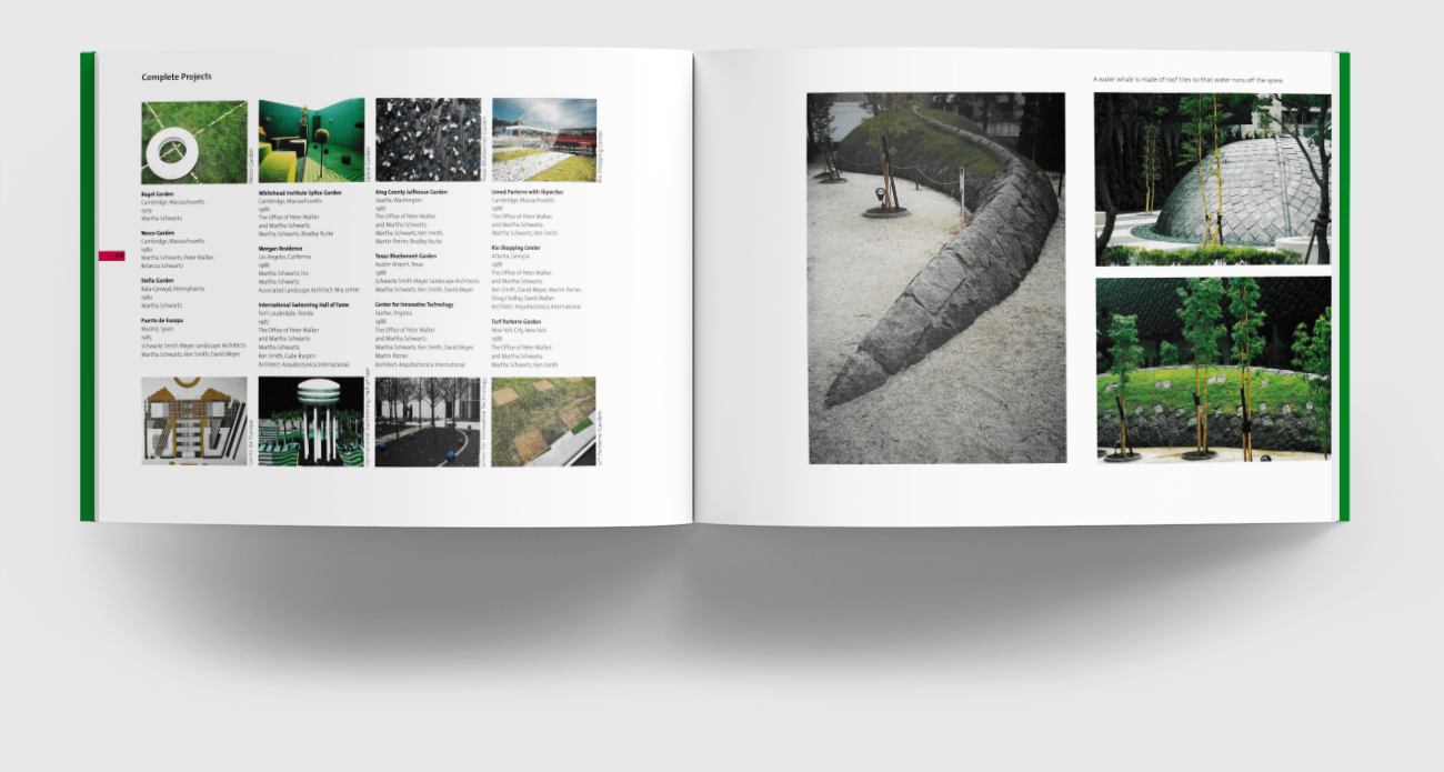 MARTHA SCHWARTZ  small 01 _BETH TUNNICLIFFE_.png