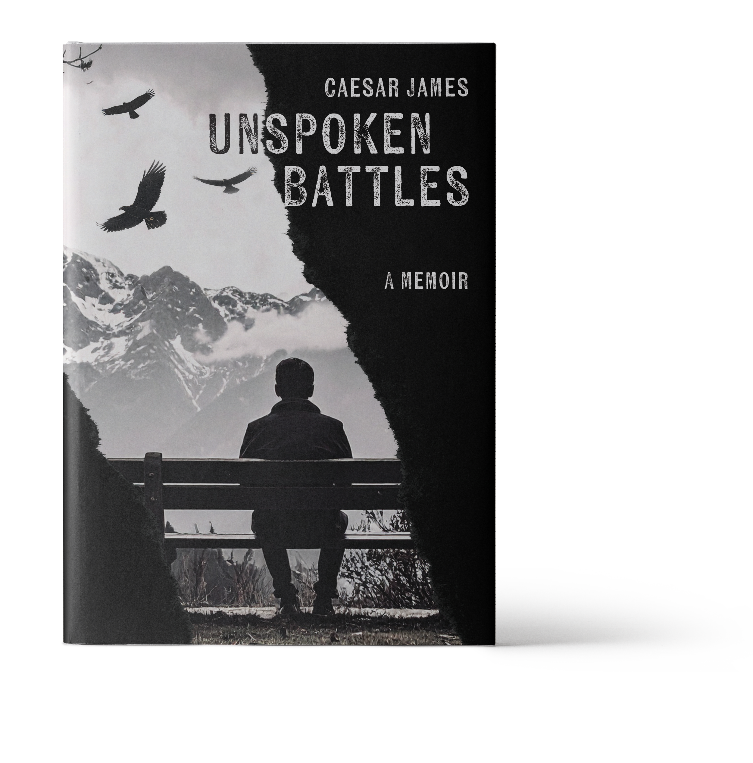 Beth Tunnicliffe_Book Cover Design -  UNSPOKEN BATTLES  .png
