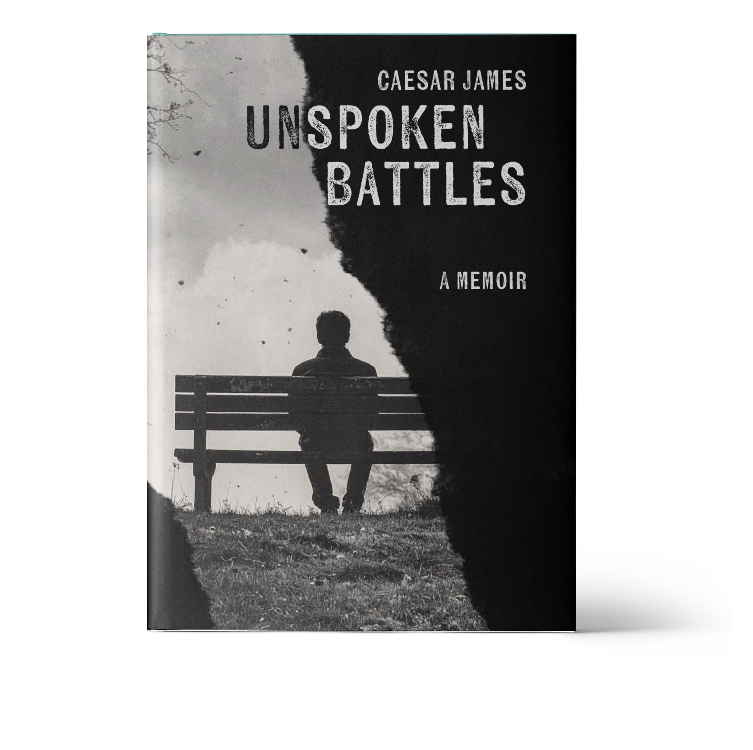 Beth Tunnicliffe_Book Cover Design -  UNSPOKEN BATTLES  .png
