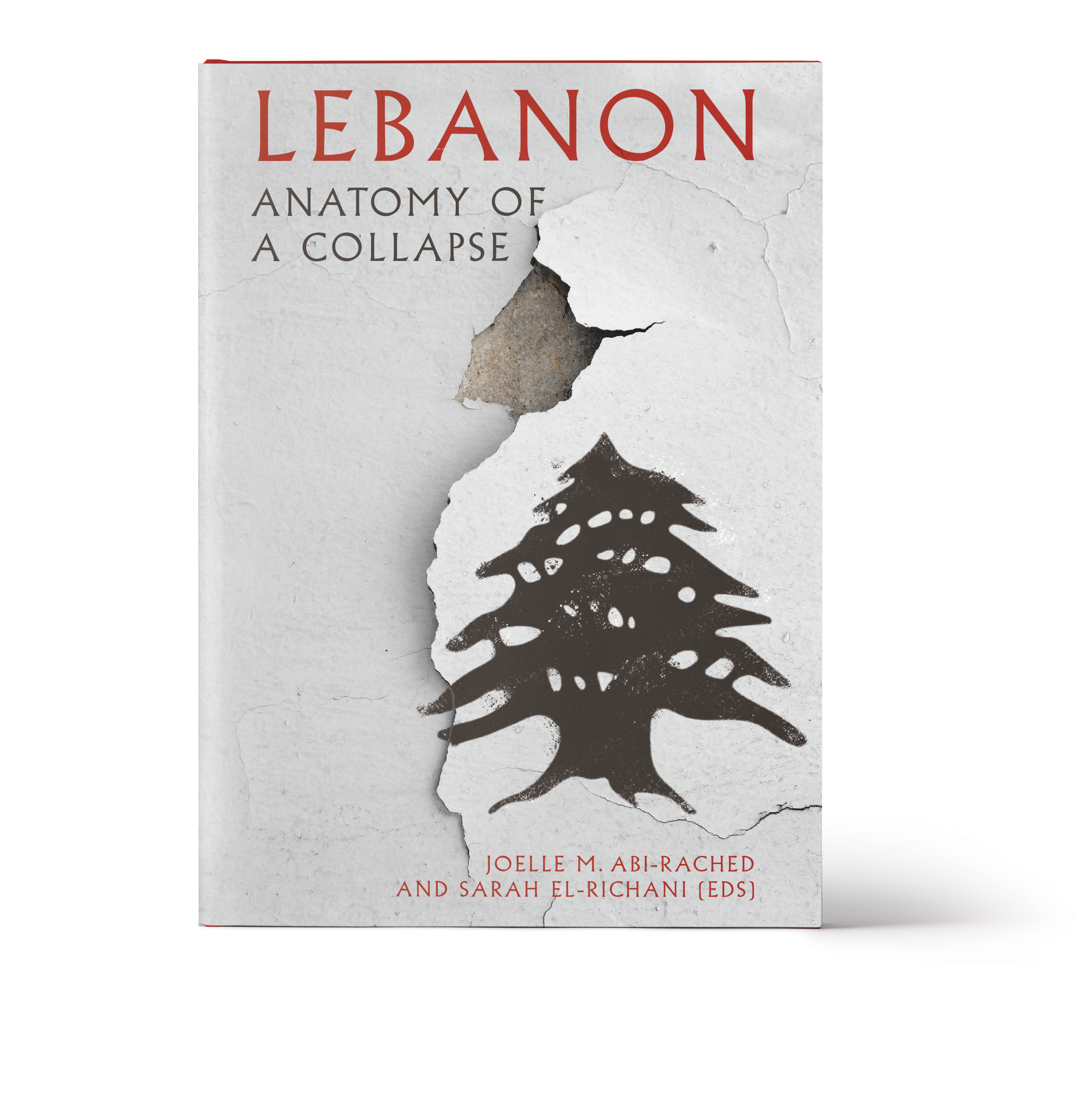 BETH TUNNICLIFFE_BOOK COVER DESIGN_pen&ink cvr.png