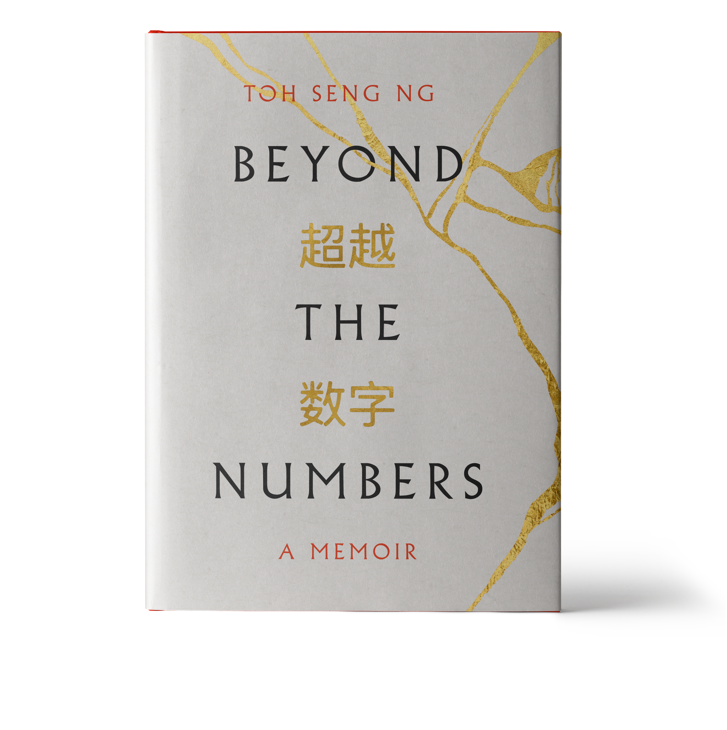 BETH_TUNNICLIFFE_BOOK_DESIGN_ BEYOND THE NUMBERS.png