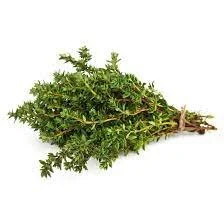 thyme.jfif