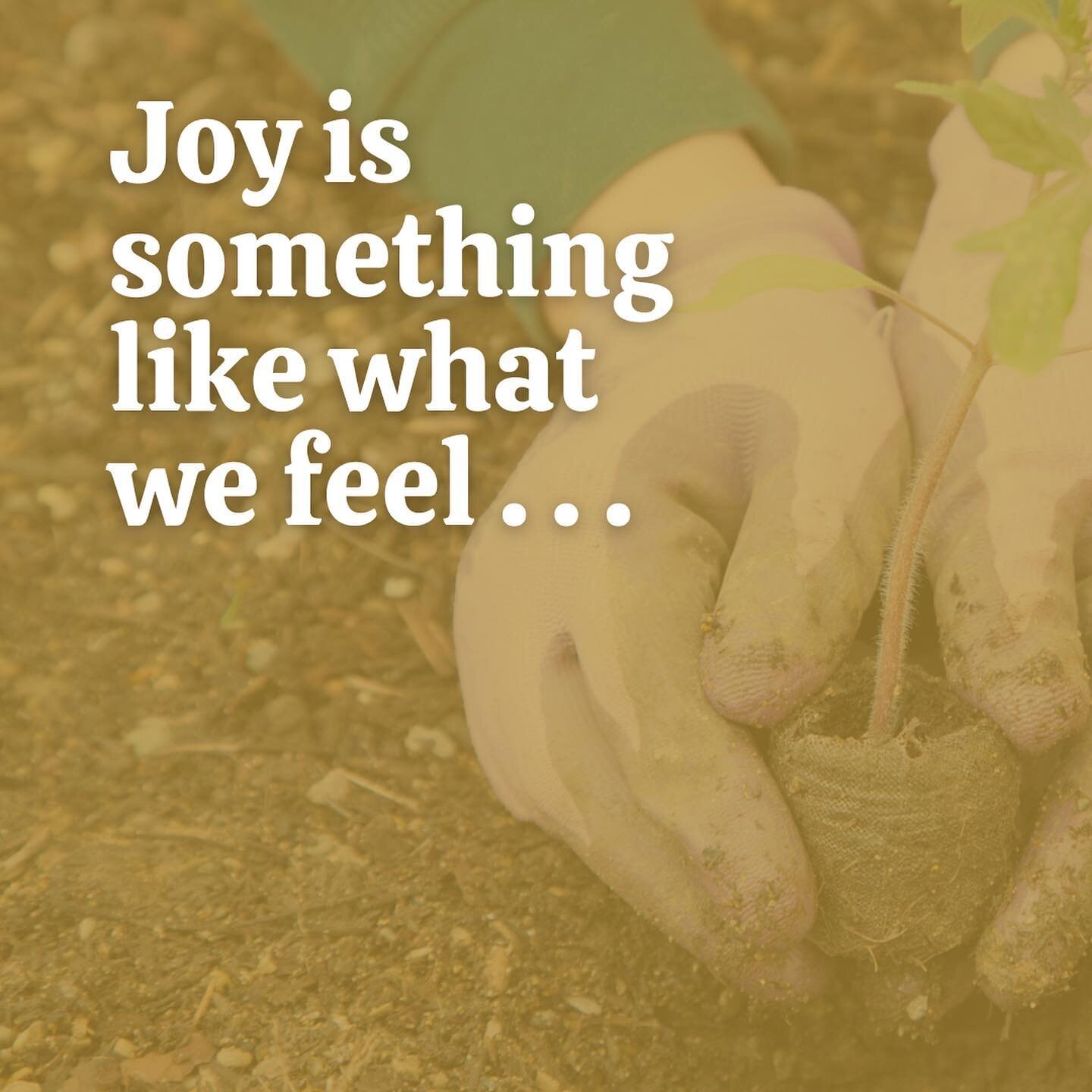 What does joy look like to you? Don&rsquo;t miss the season finale. Ross Gay reimagines joy. 🔥🙌