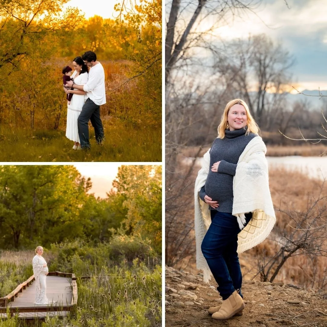 Family photos showing the location for the summer family photo sessions