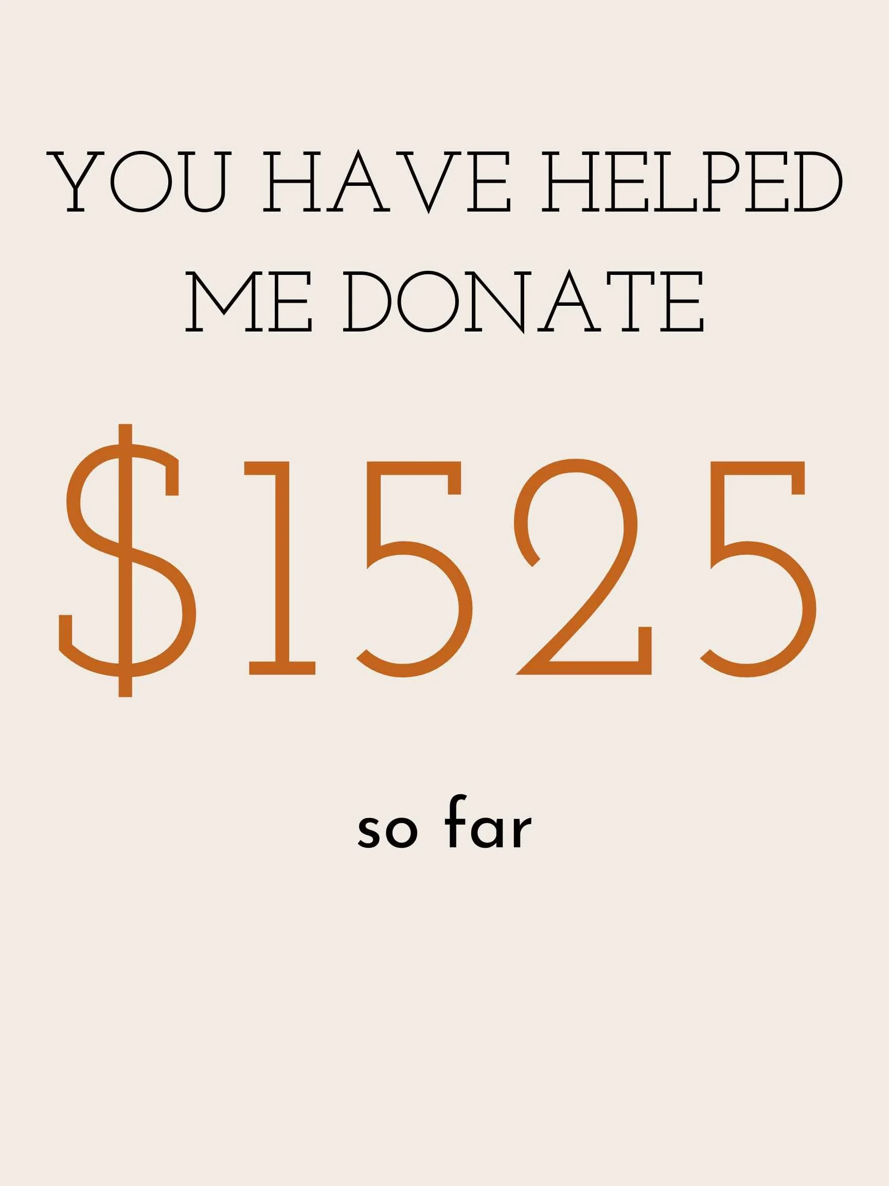 Image indicating how much the Longmont newborn photographer has been able to donate from photo sitting fees.