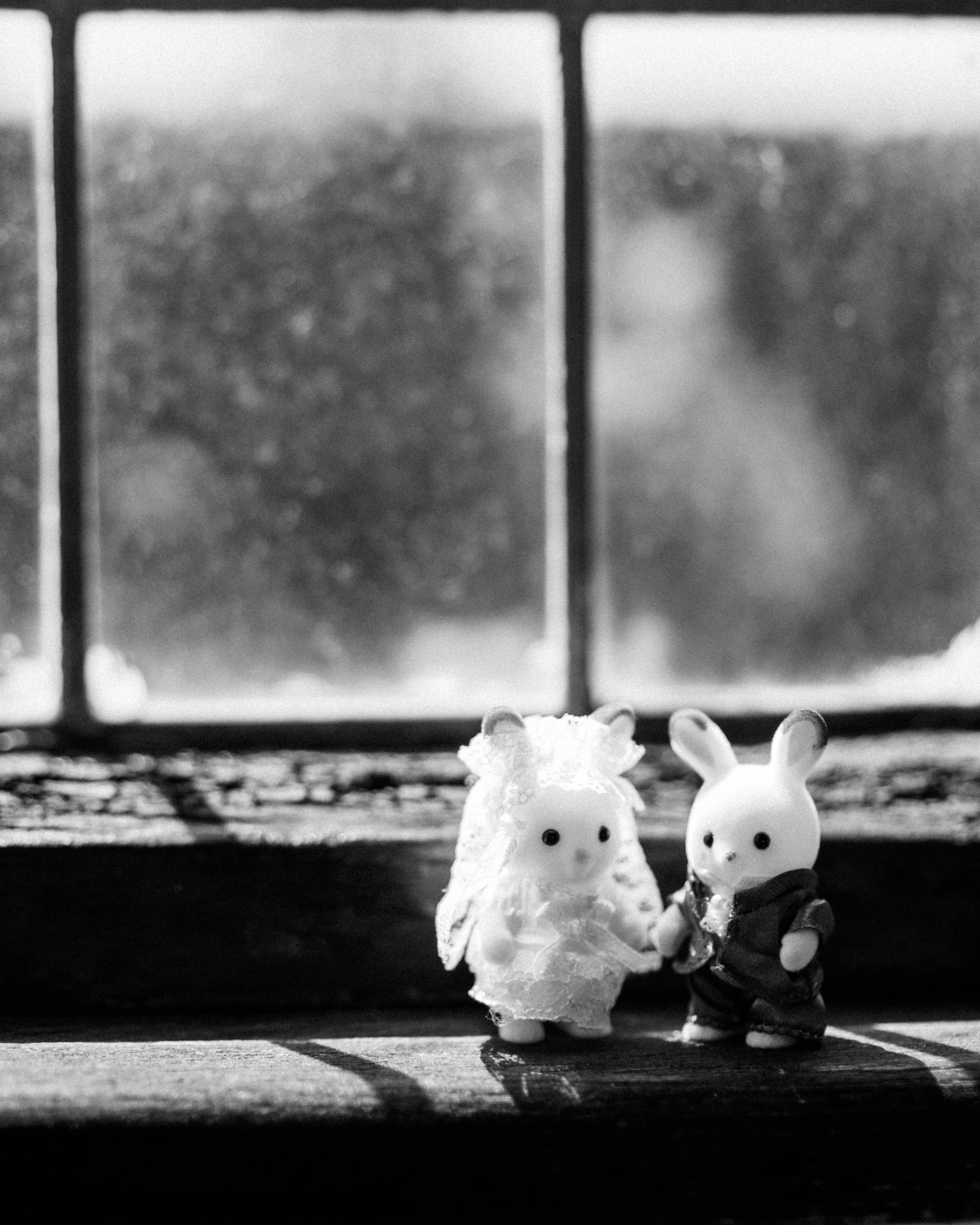 Harry & Jen Social Posts-7.jpg