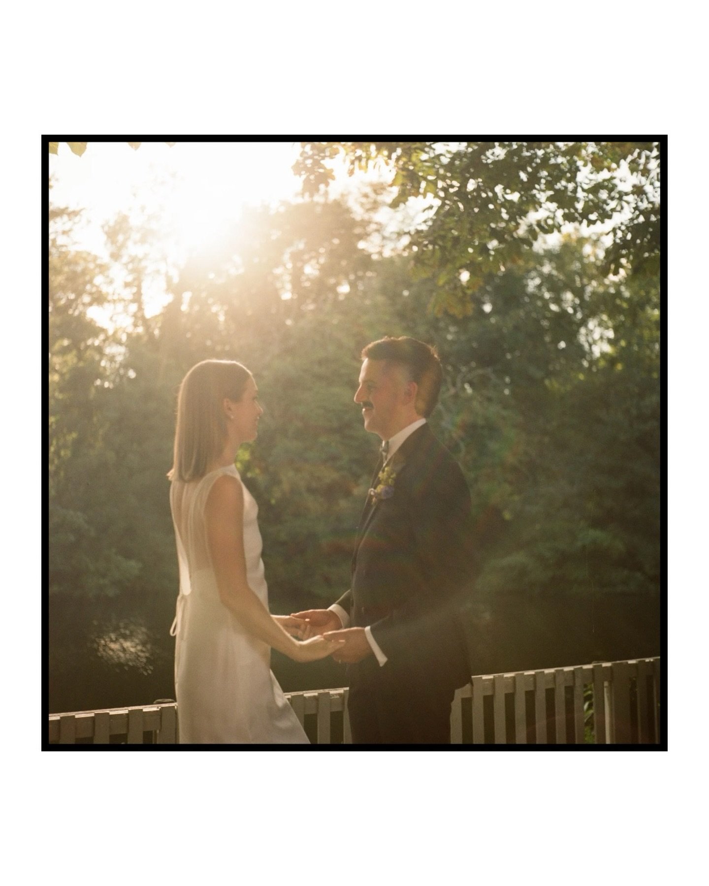 Bathing in the golden light.