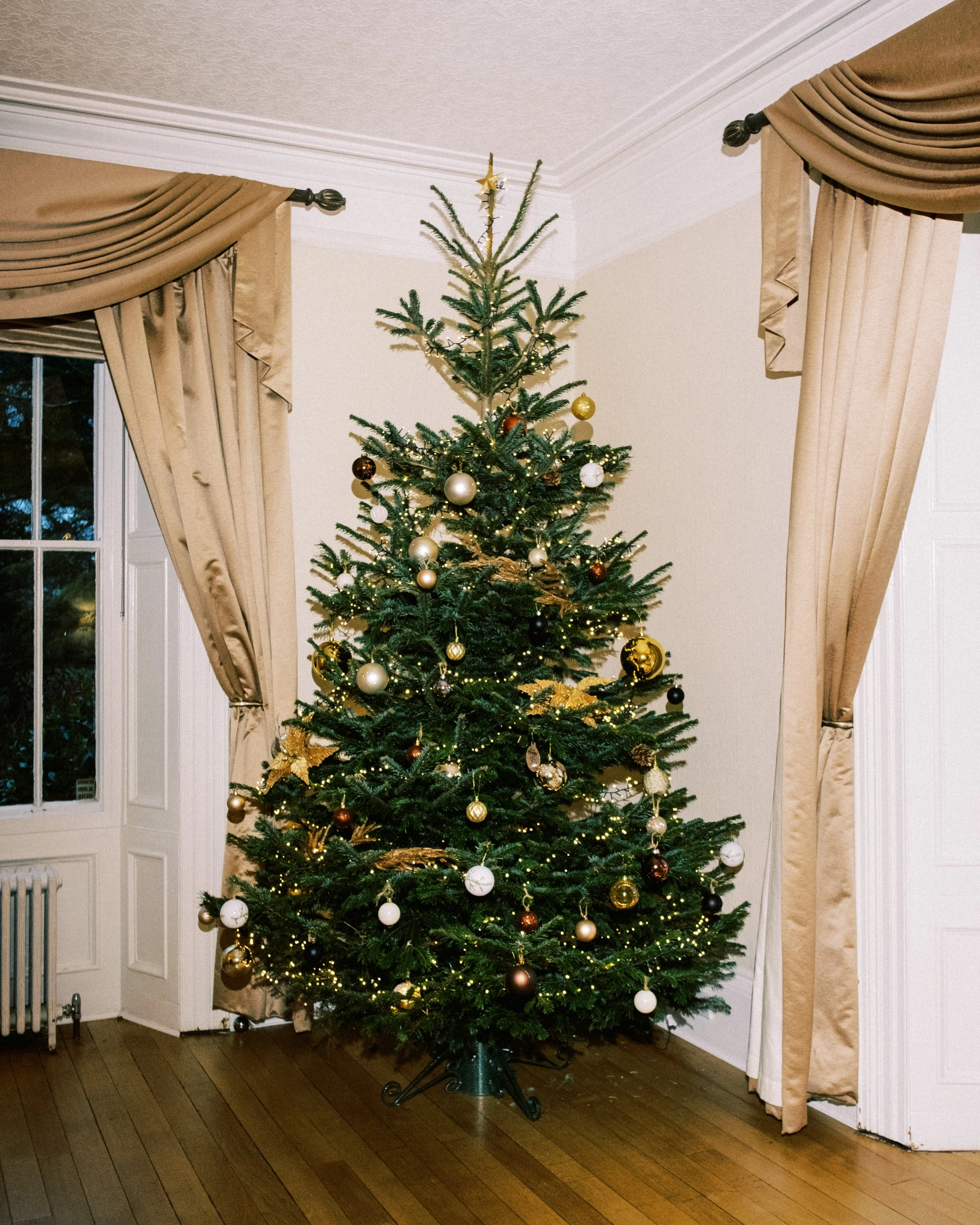 horton grange wedding photographer