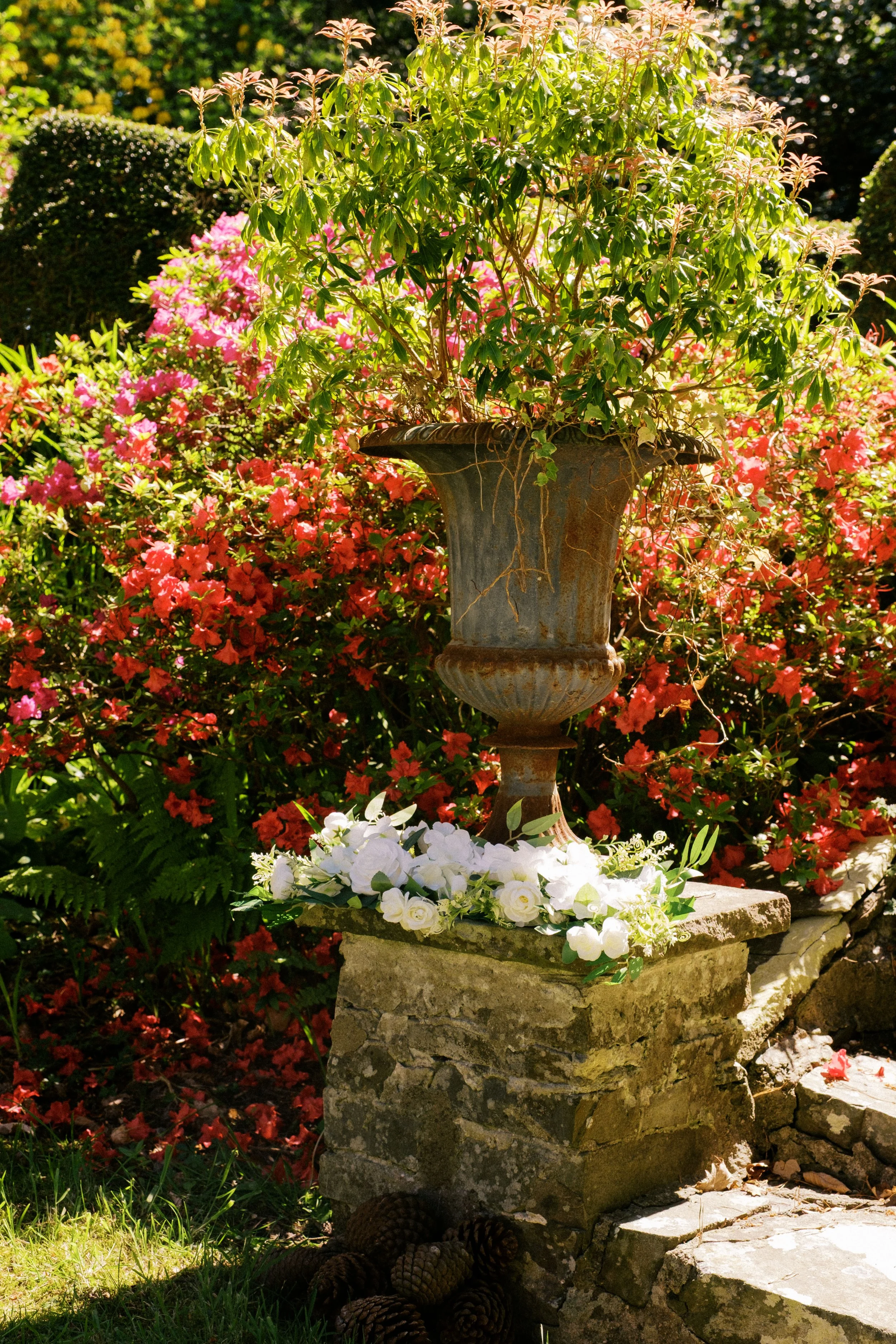 A large outdoor planter filled with green leafy plants sits on a stone pedestal. Surrounding the planter are vibrant pink and white flowers. Pinecones are clustered at the base of the pedestal. The scene is lit by sunlight with a blurred background o