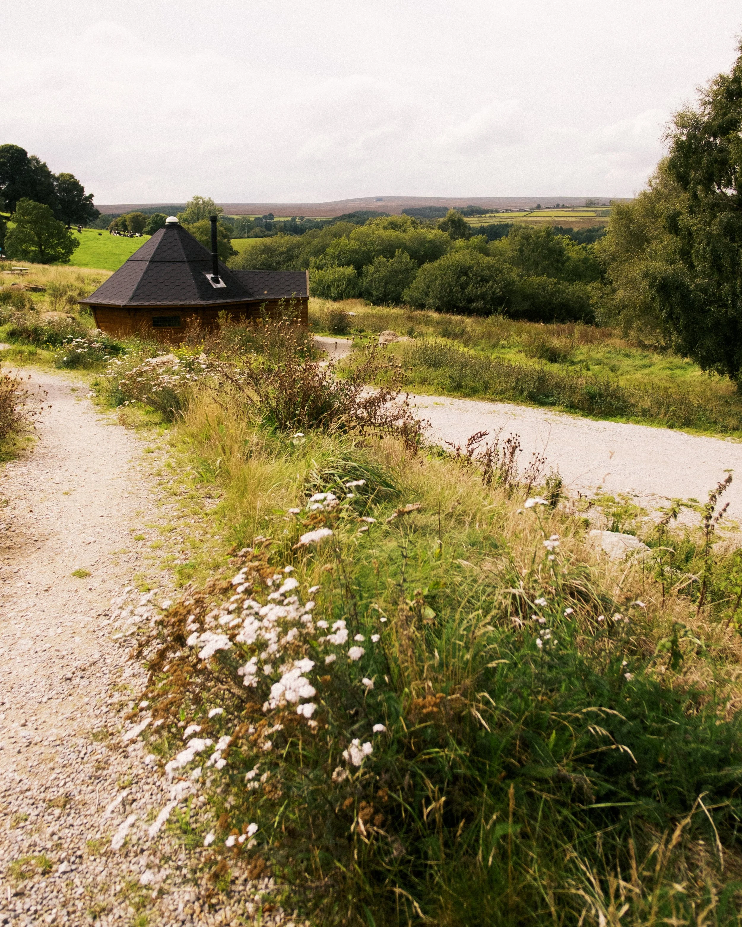 Isobel & Andy Social Posts-2.jpg