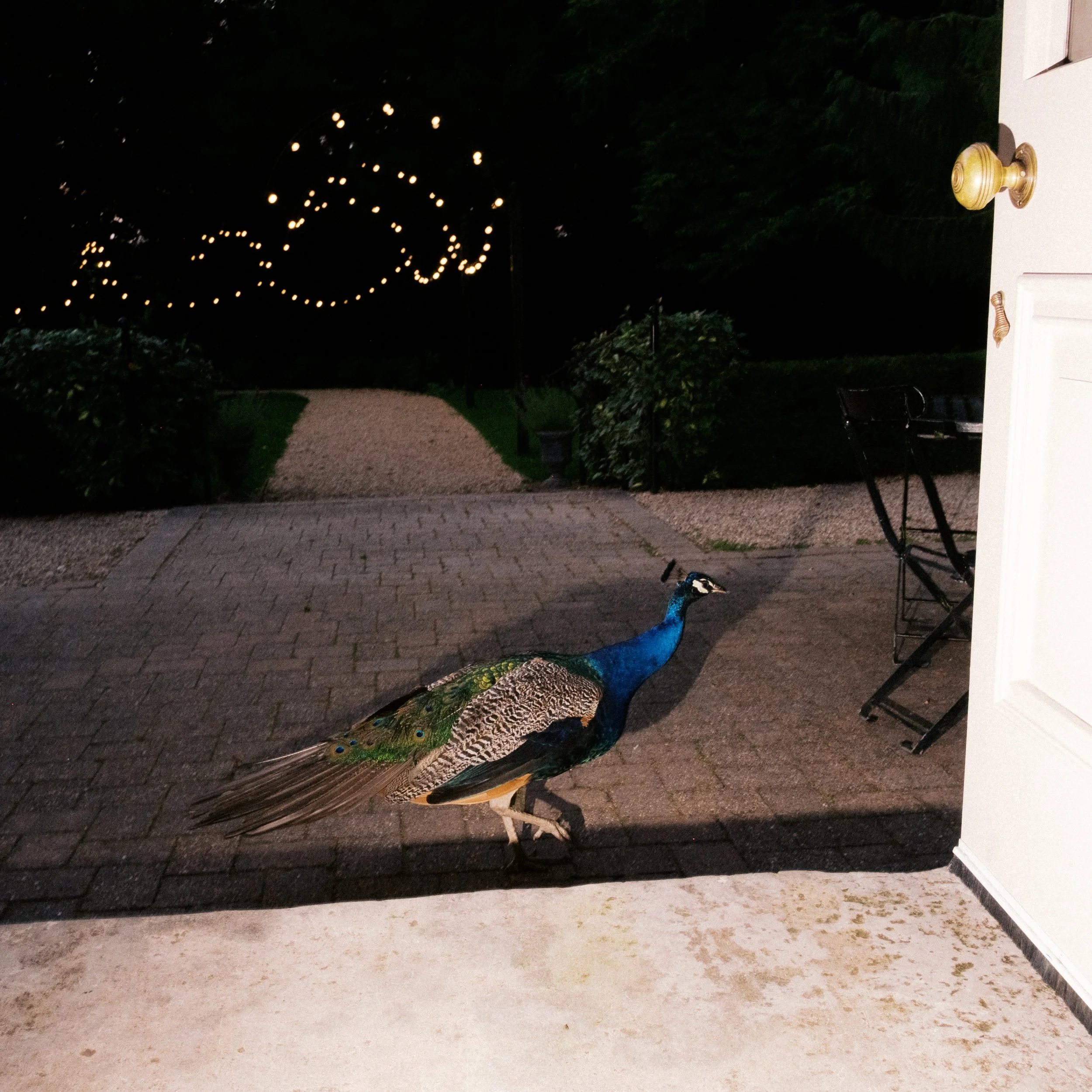 Harry & Jen Social Posts-80.jpg