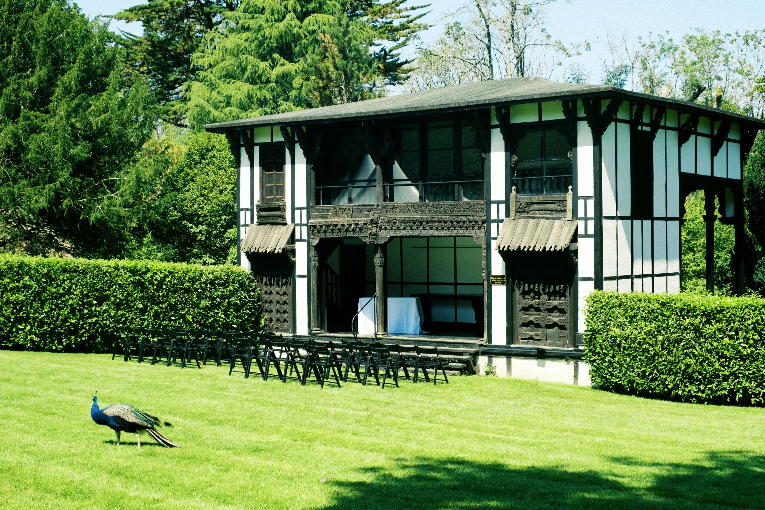 Harry & Jen Social Posts-21.jpg