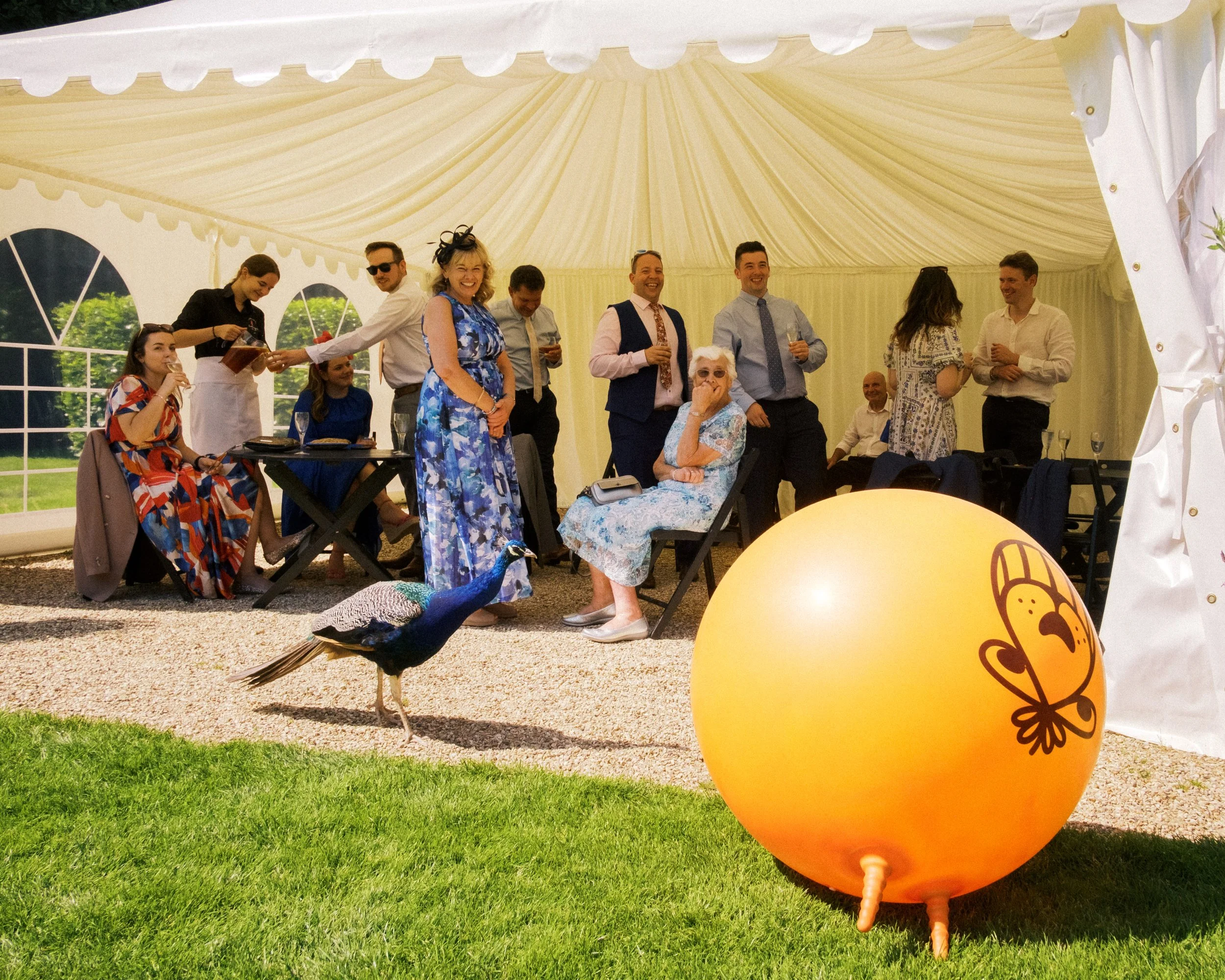 Harry & Jen Social Posts-47.jpg