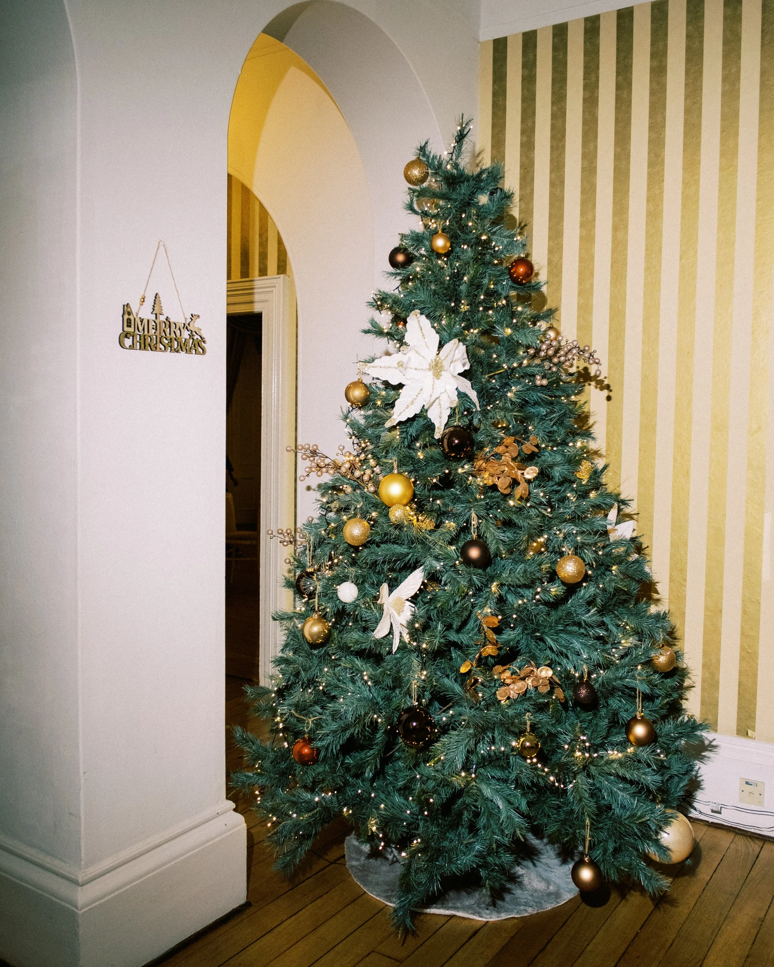 horton grange wedding photographer