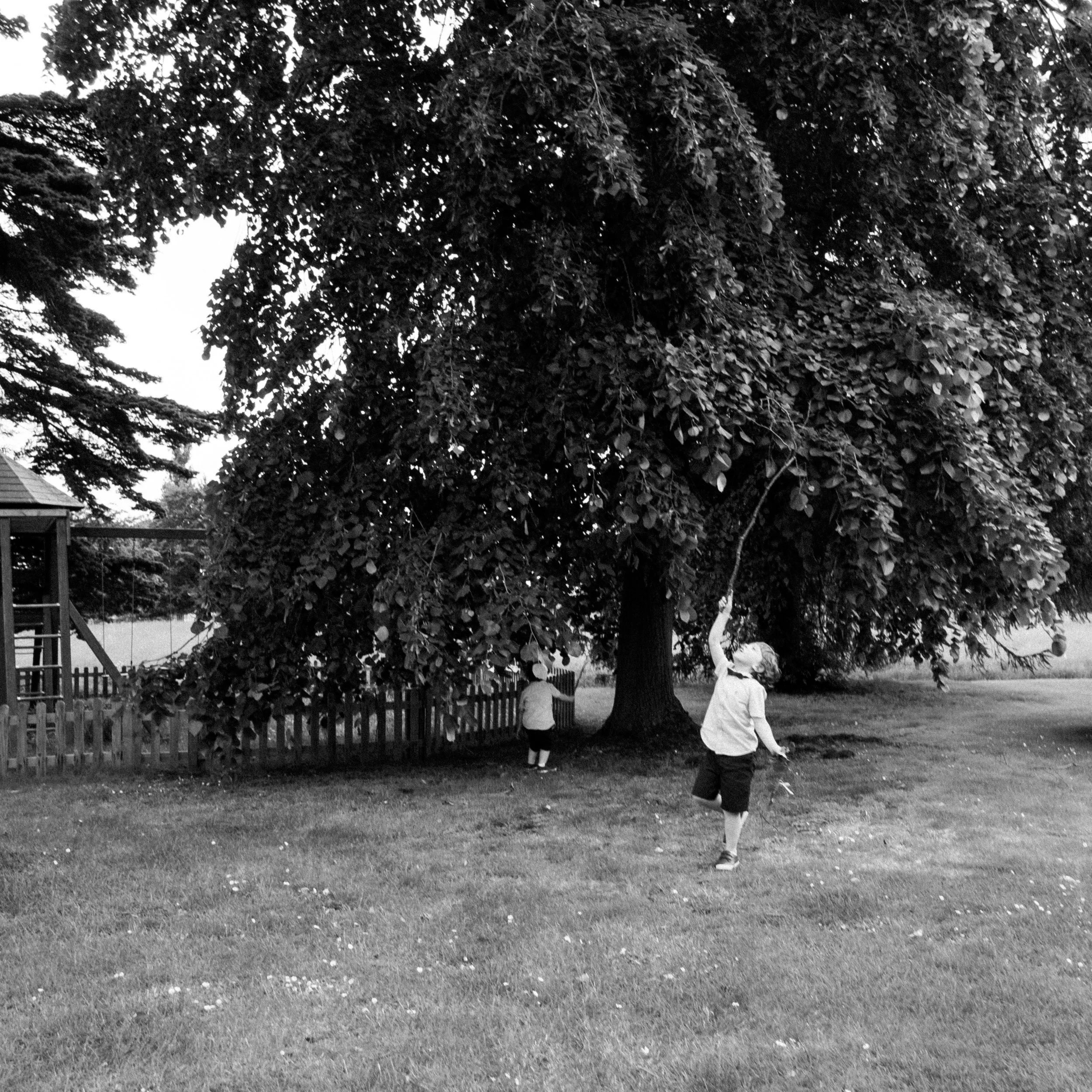 Eloise & Tony Social Posts-25.jpg