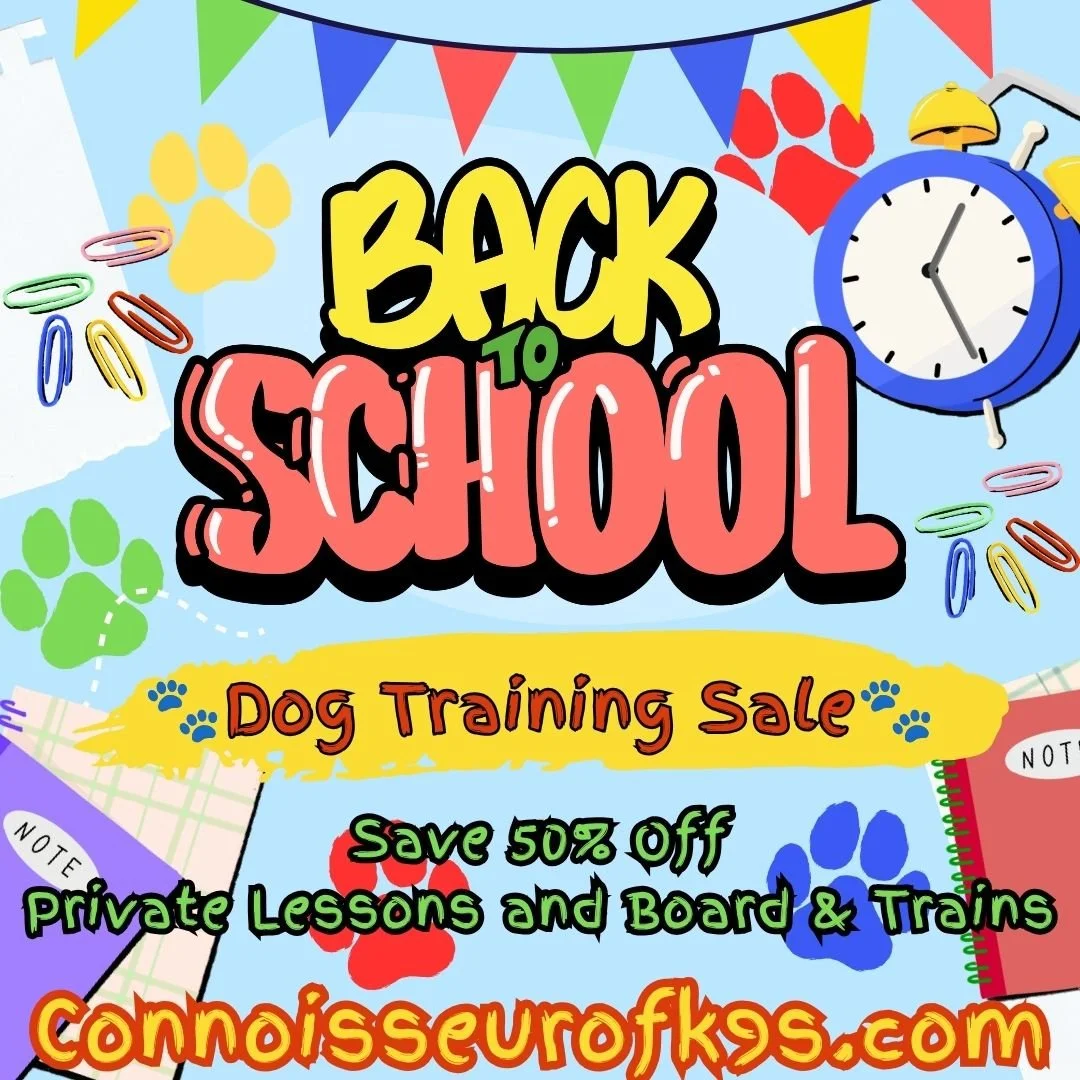 Back To School Dog Training Sale in Marion, Indiana
