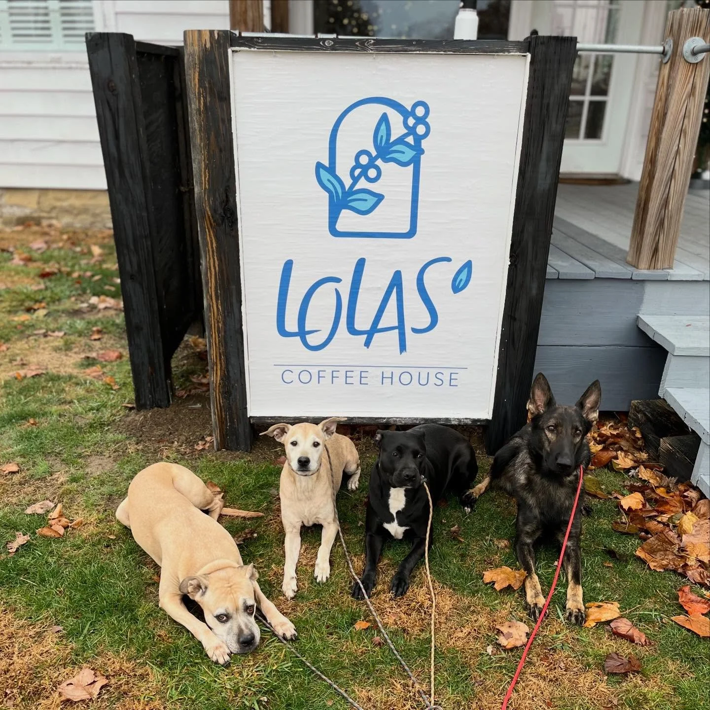 Dog Friendly Marion Indiana