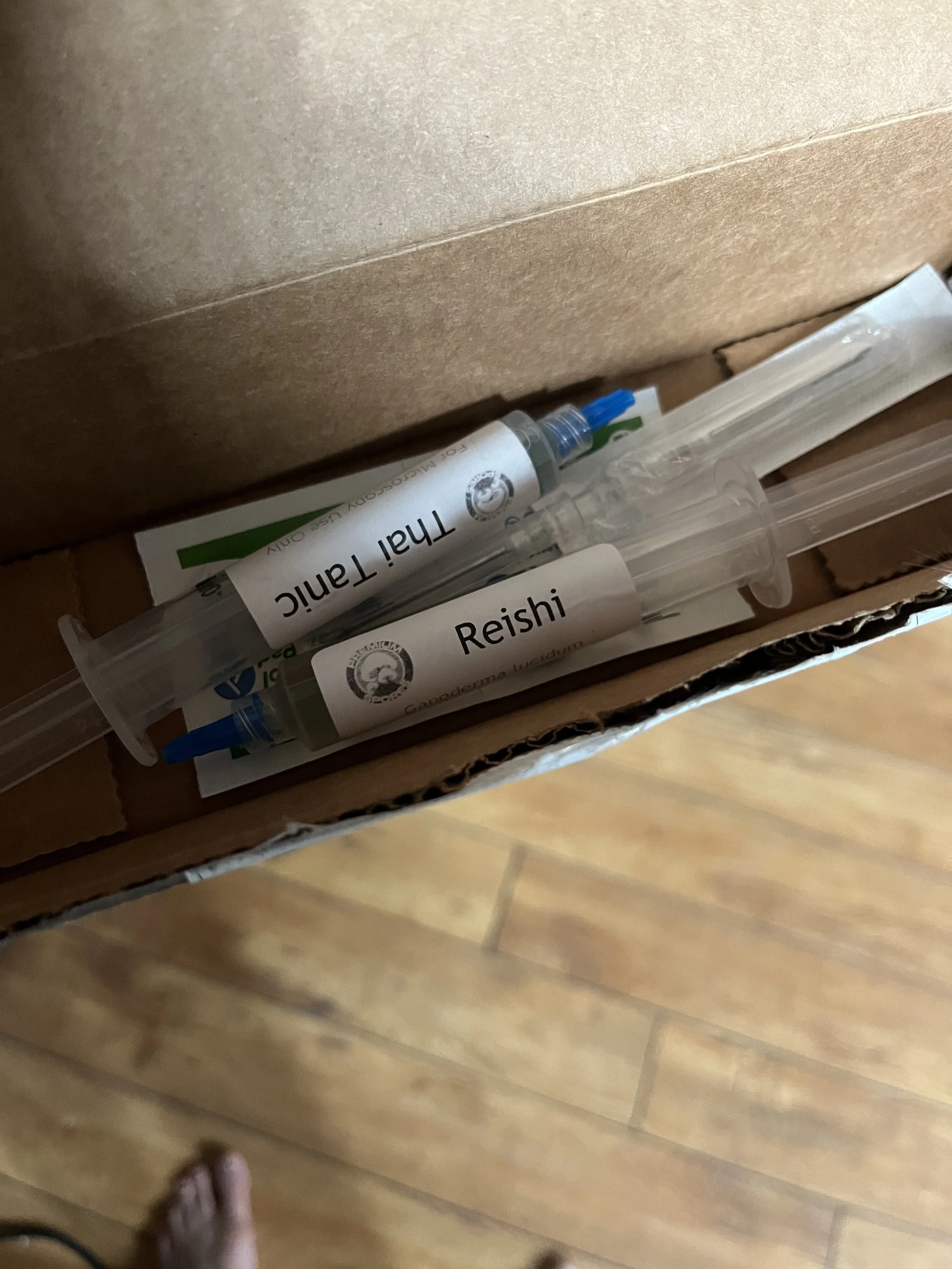 Step 1: Starting with spores