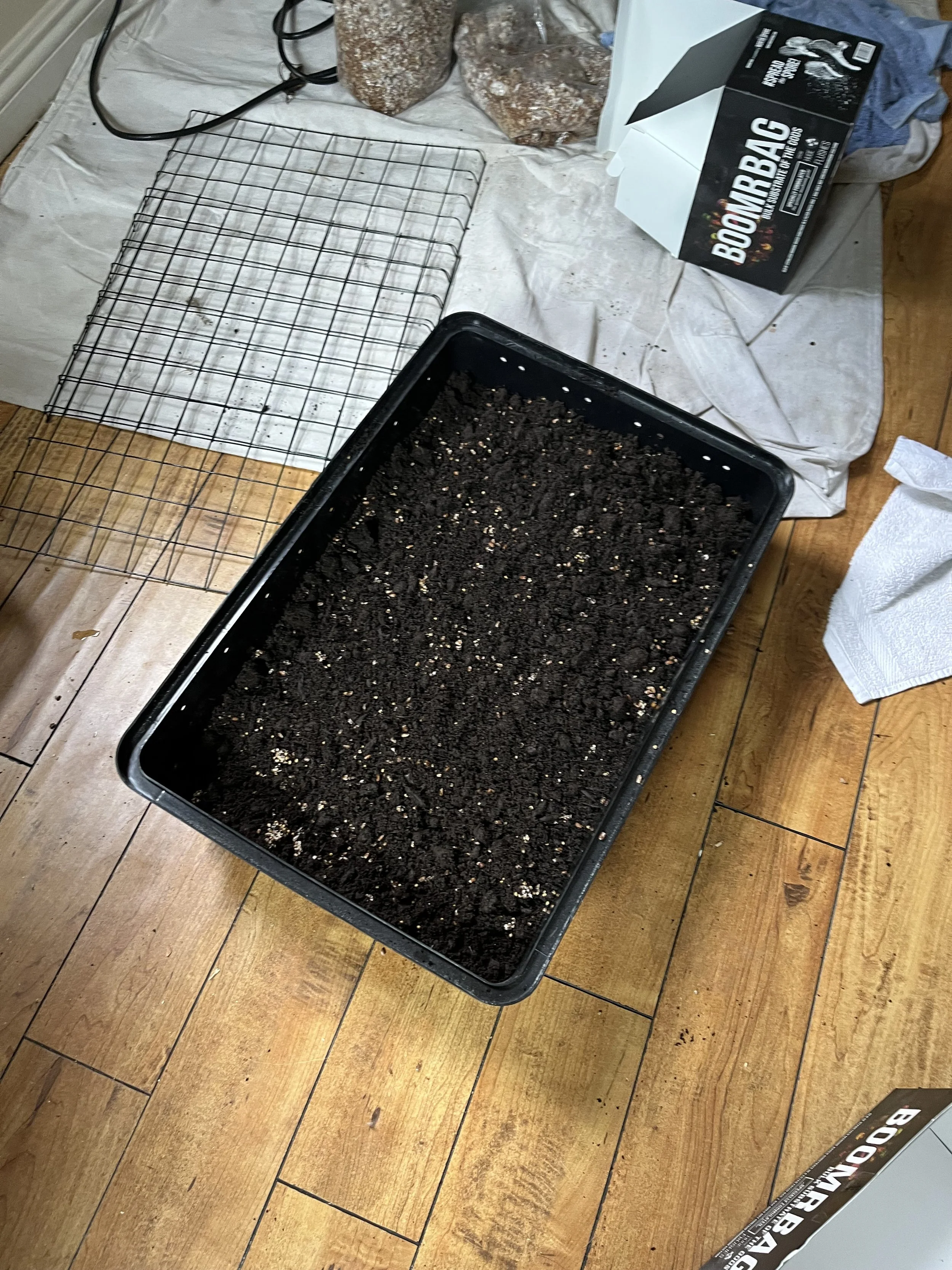 Step 3: Adding Substrate