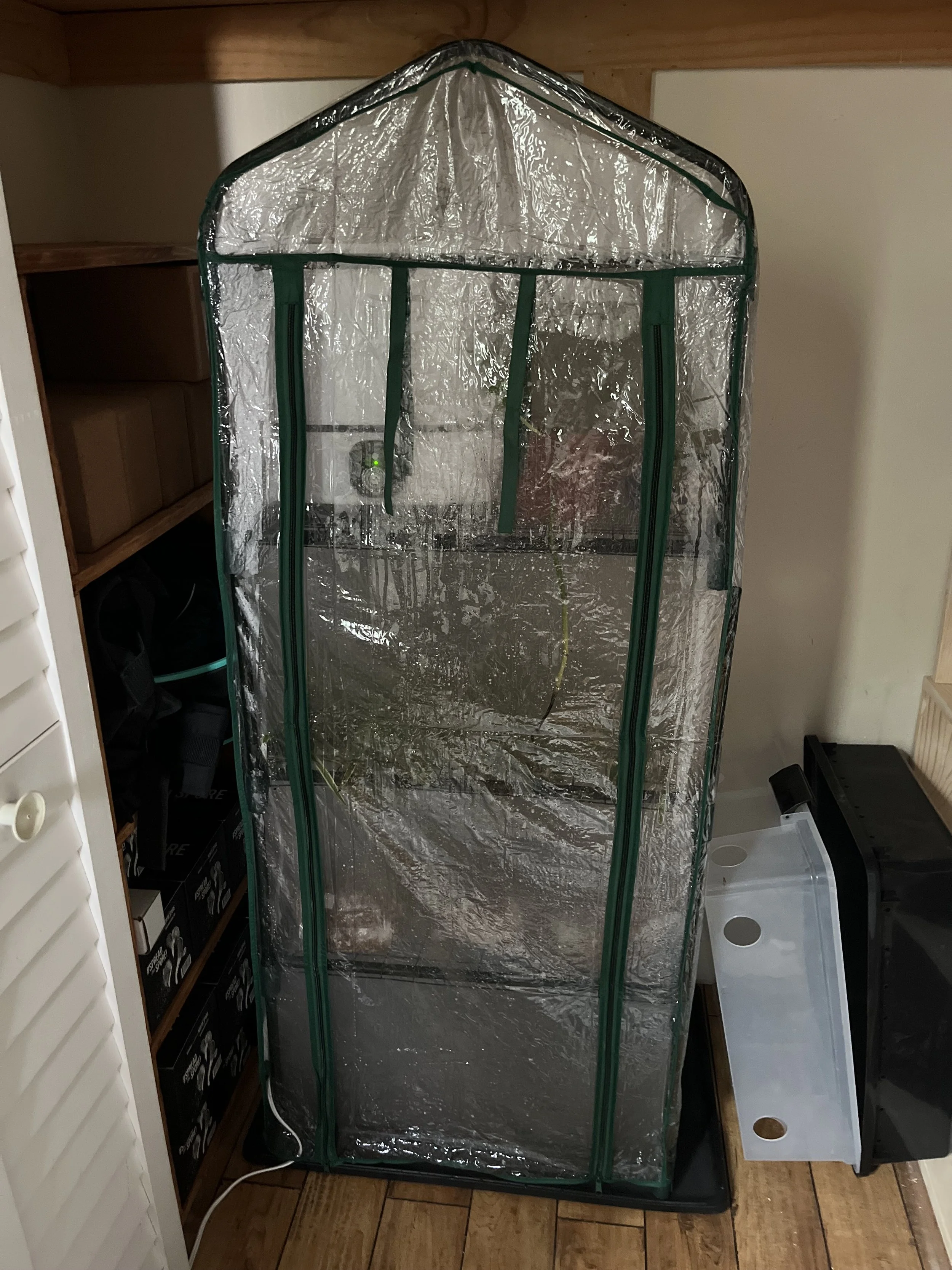 Step 4: The Martha Tent