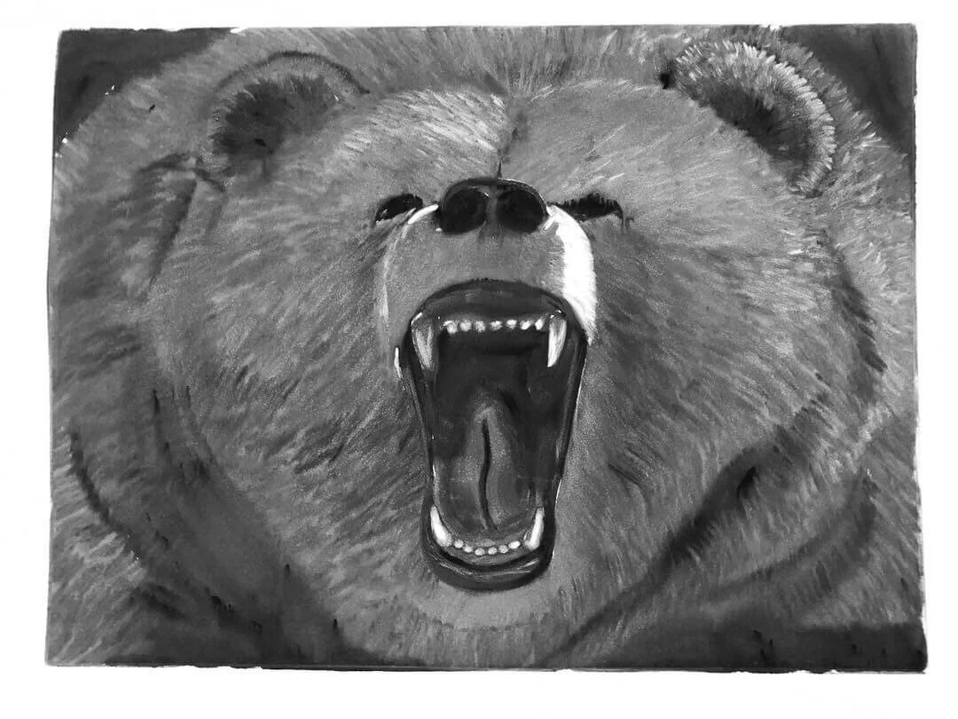 Menace (Bear Triptych), Monoprint 24x36, 2019