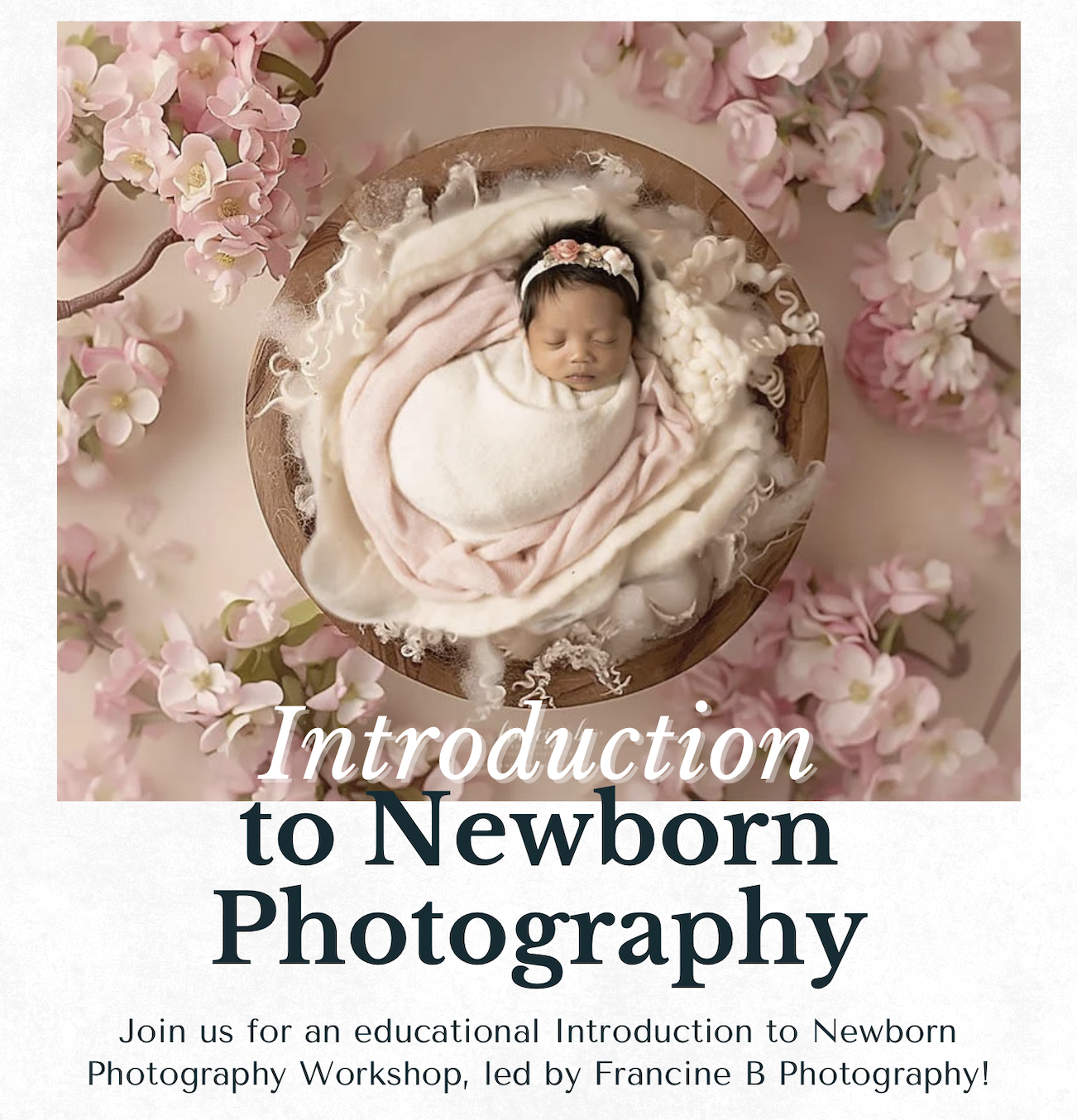 Jan 25- Introduction to Newborn Photography with Francine B Photography