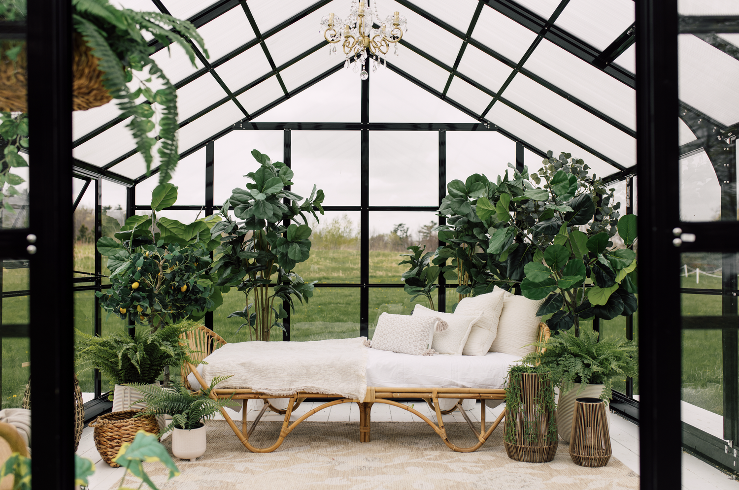 The Ruby Manor — Outdoor Grounds