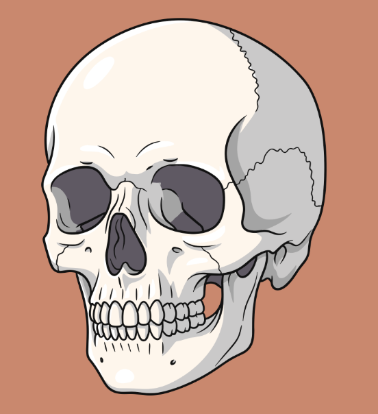 CFR: Cranial Facial Release 