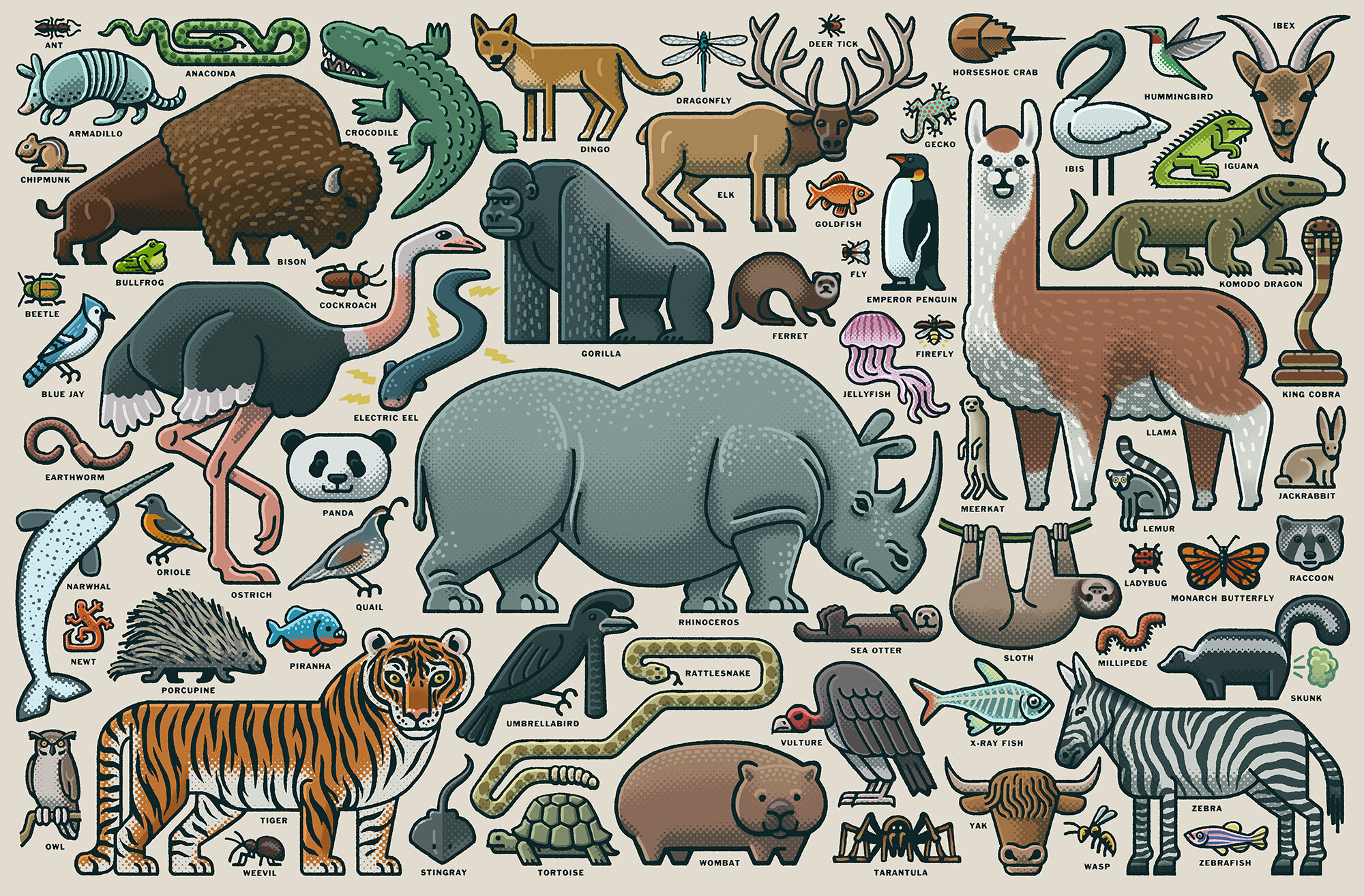 animal_puzzle.jpg