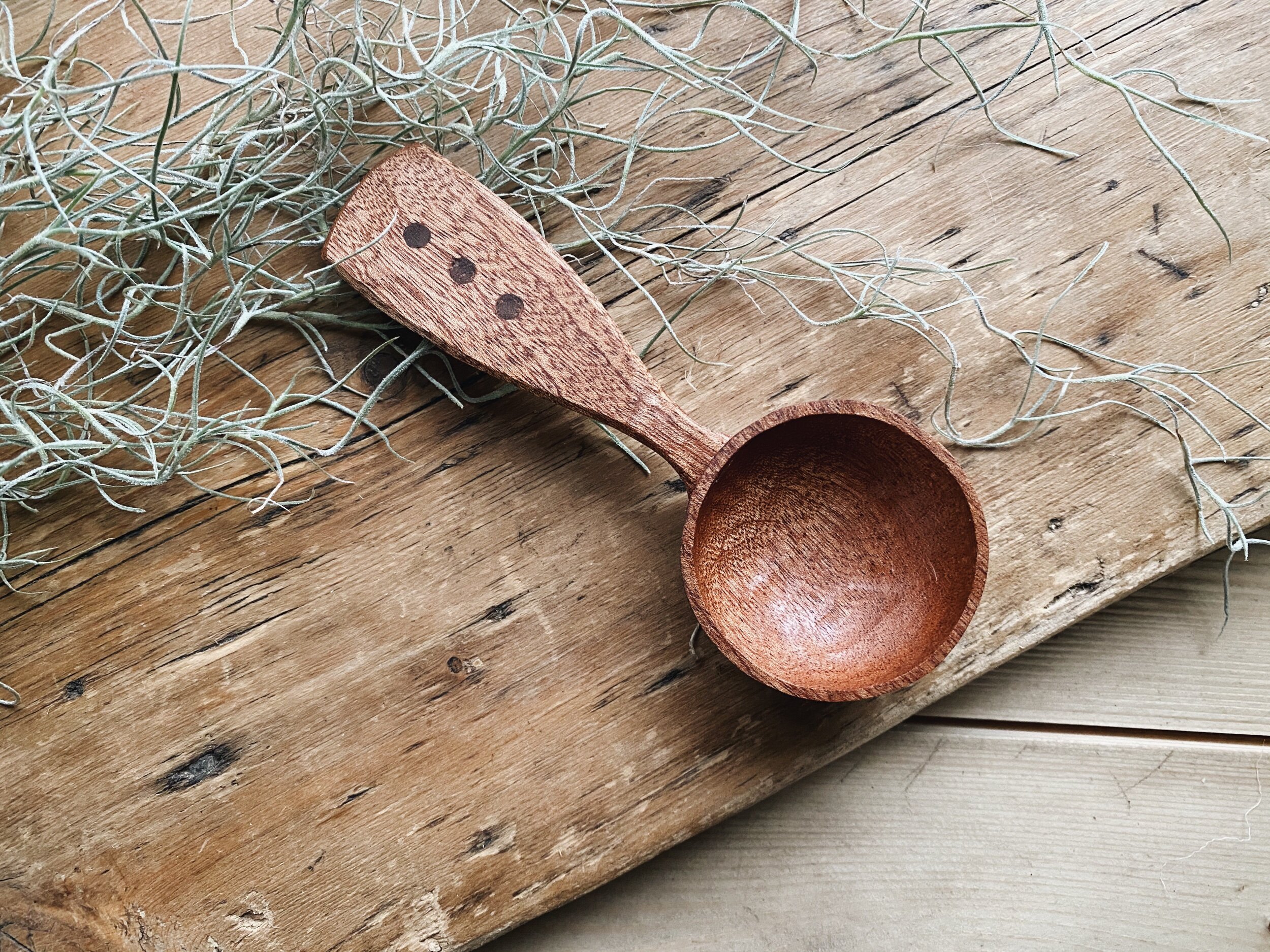 Sapele Coffee Scoop
