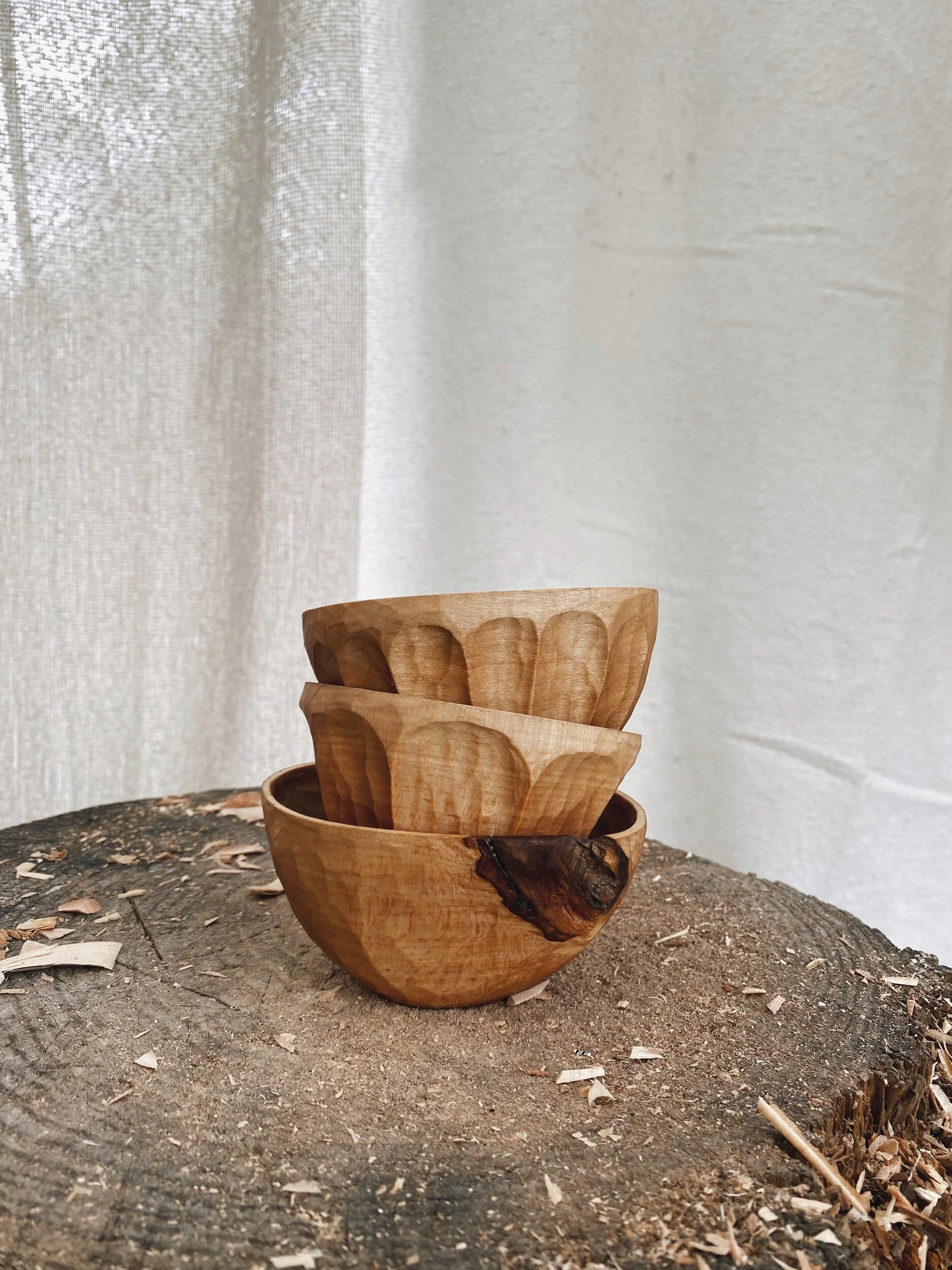 954F58C8-98FA-482C-B636-6EDD495E743B