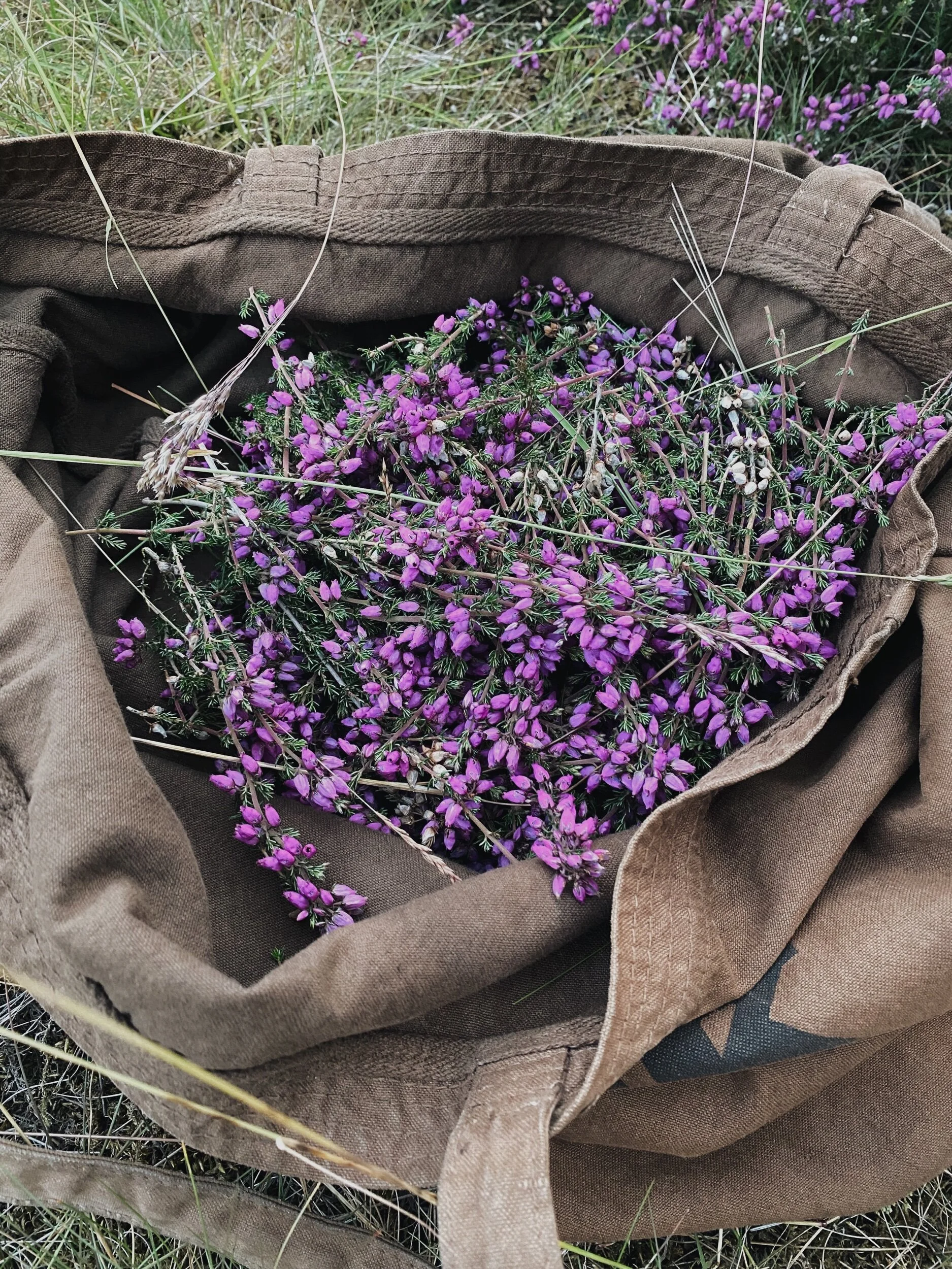 3CC7BE53-5730-4361-8364-04772BFDA3AC