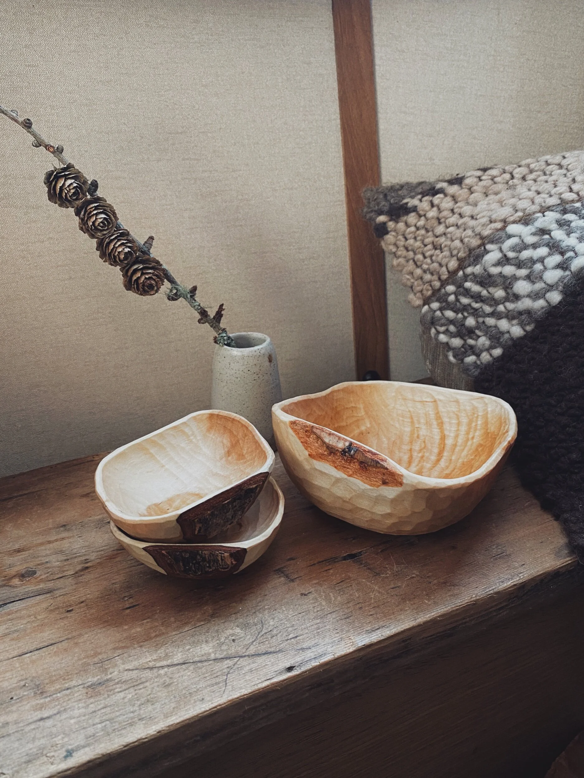 3BAE073E-E6C0-4A65-9A7E-A7B537492D02