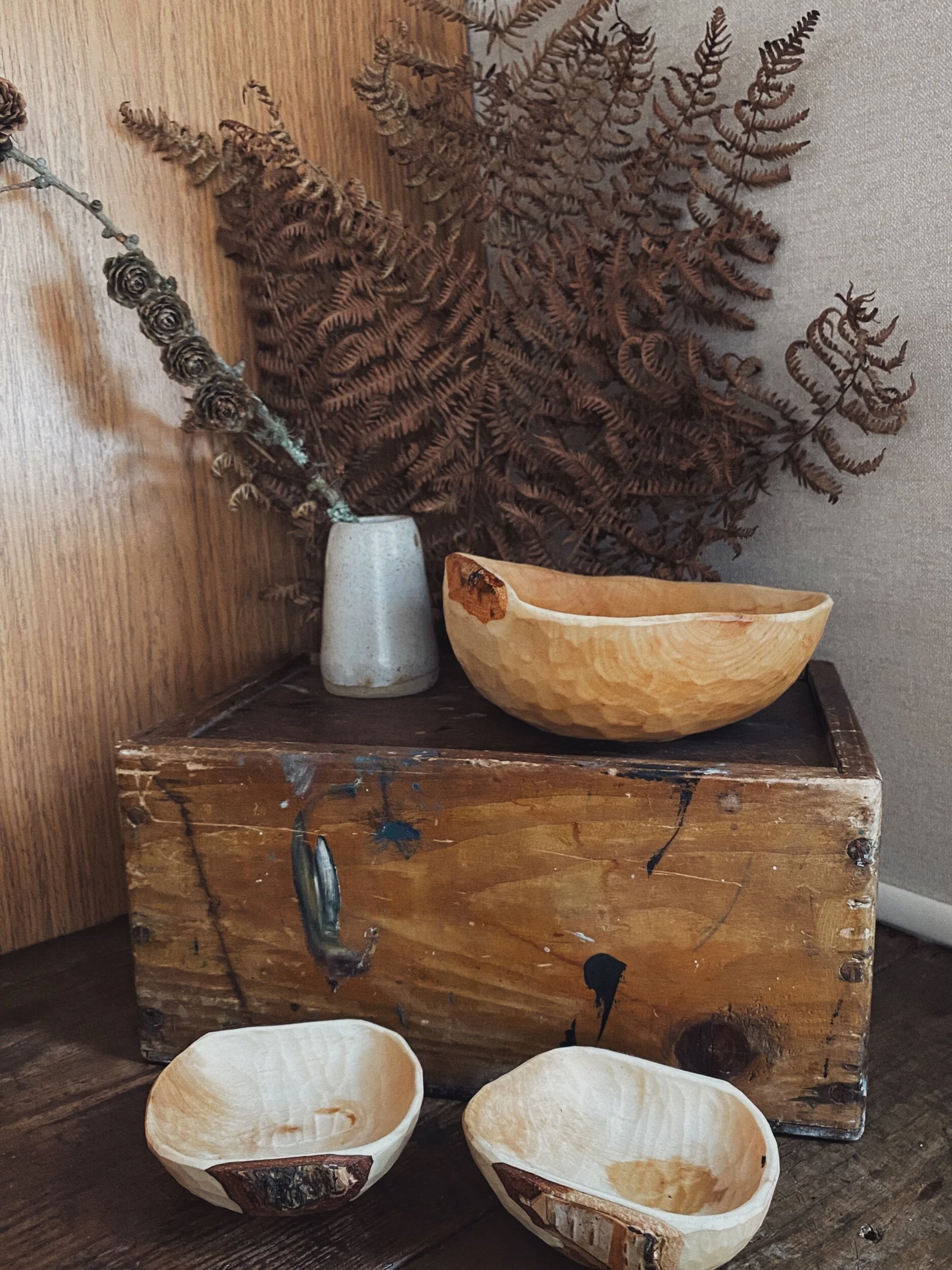 24AAA023-19E7-4BD3-B349-2F21CD9FB79C