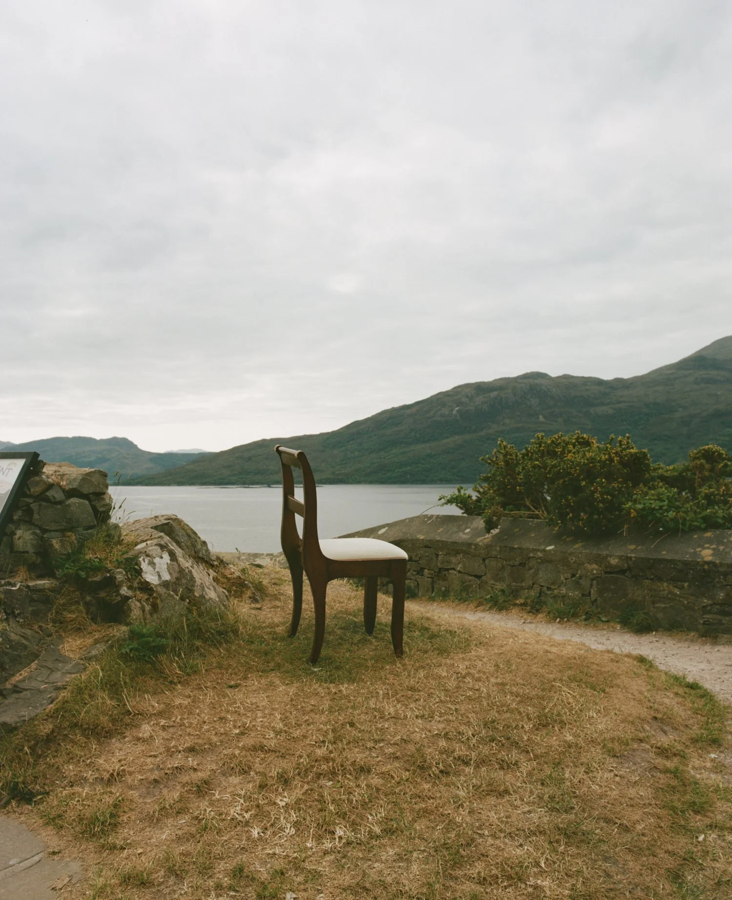 244A69CF-60F9-476C-B50A-BE84ADC76974