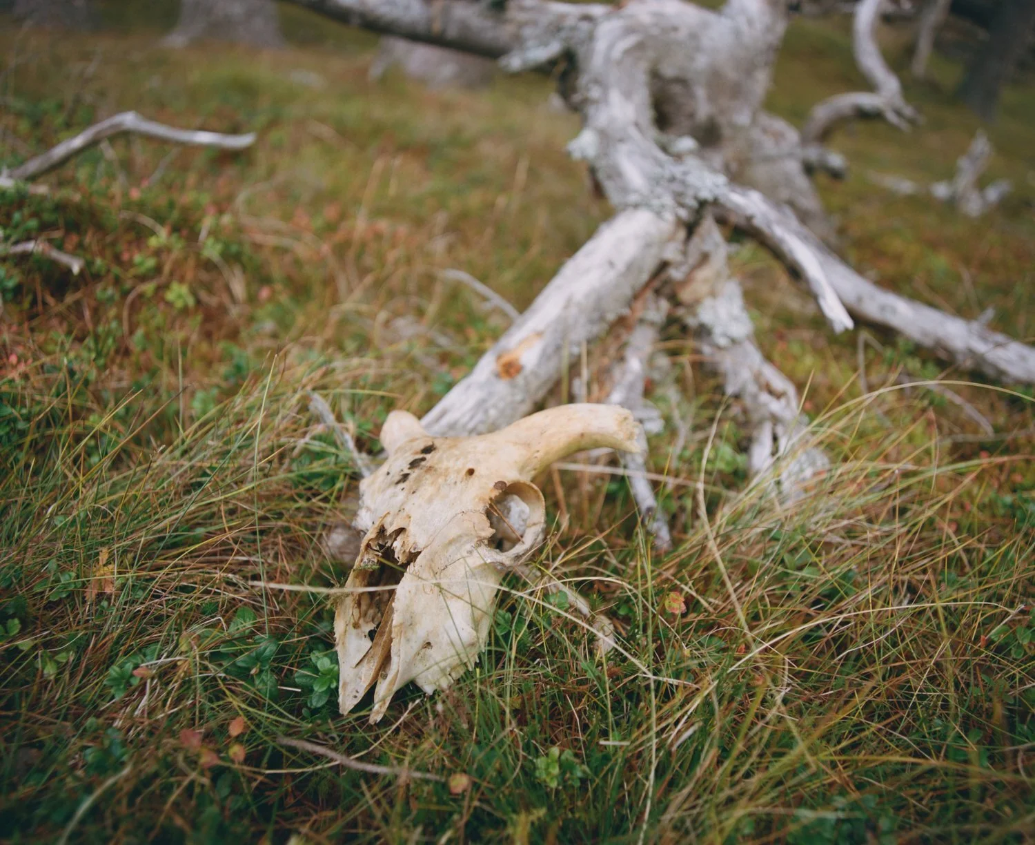 237DDDB6-619E-438F-ADE0-44FD26C0BE10